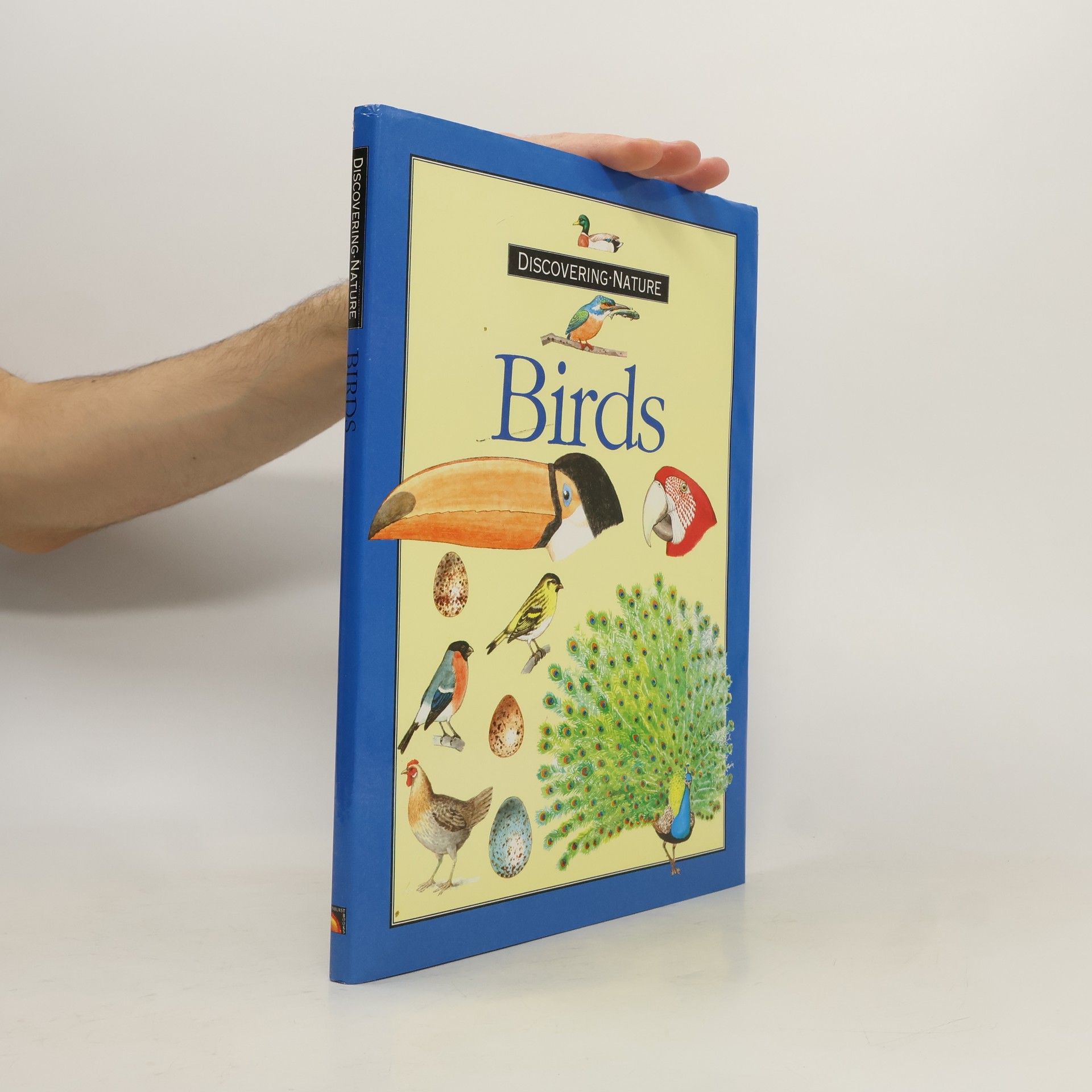 Collectif d'auteurs Birds