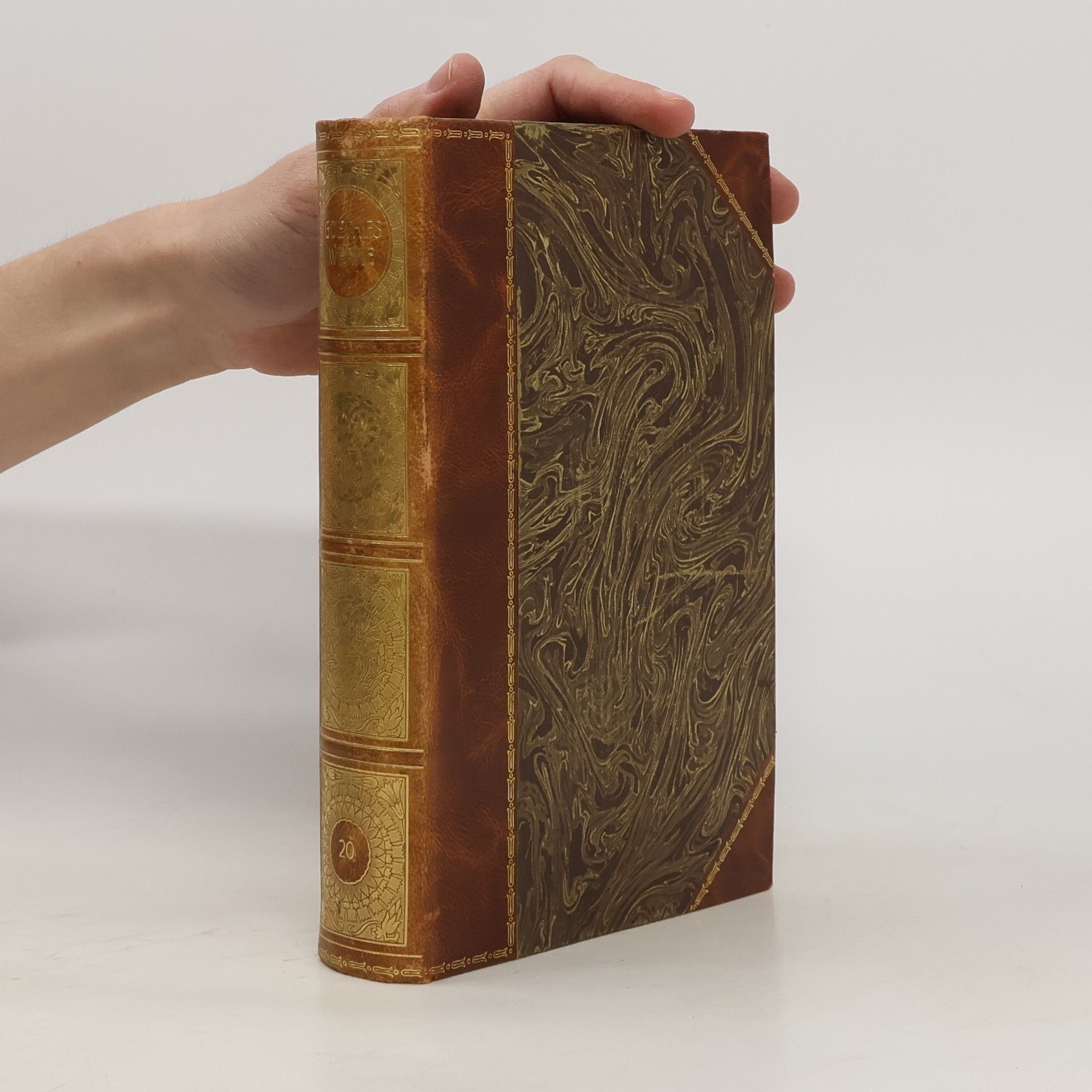 Rudolf Pechel Goethes Werke 20