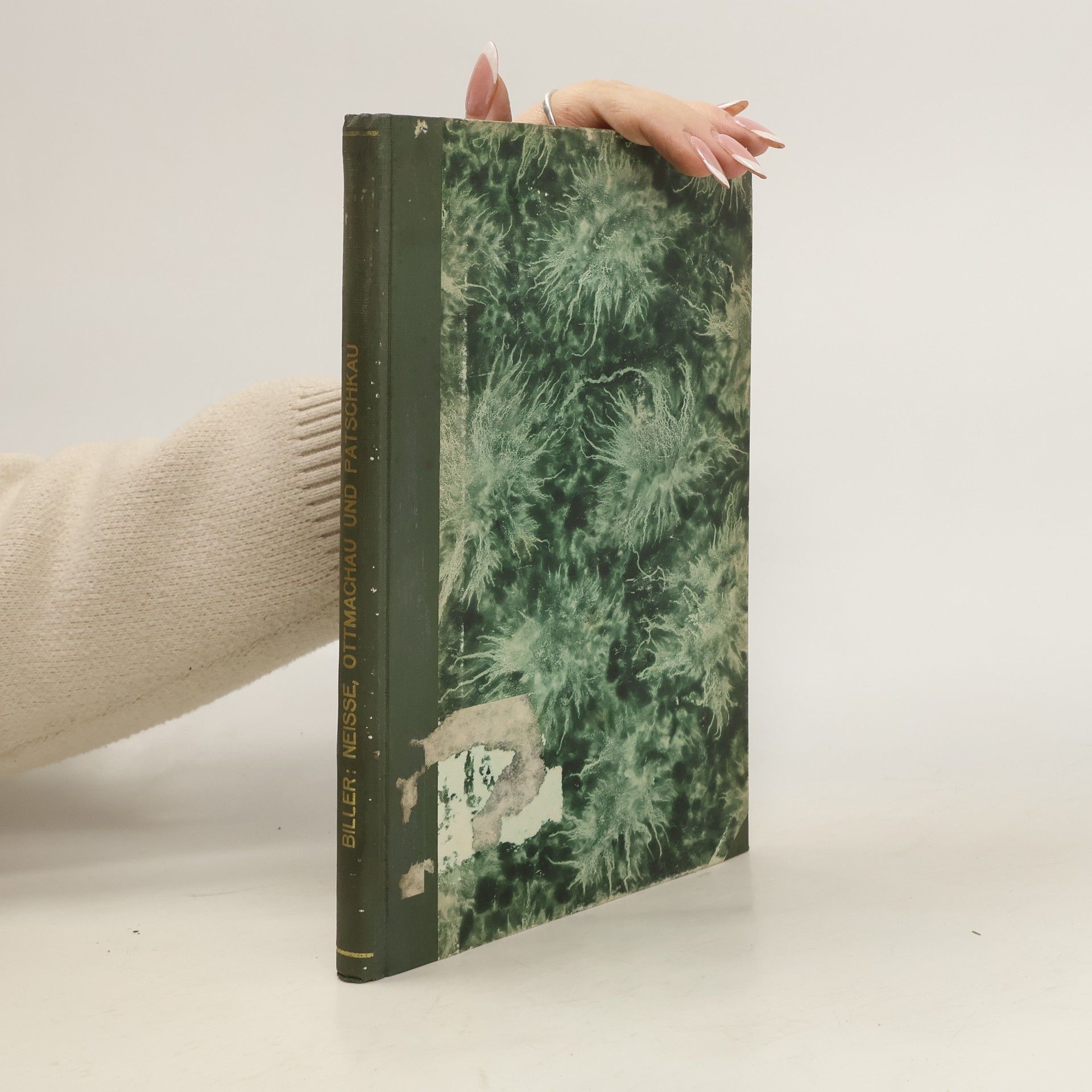 Lothar Biller Neiße, Ottmachau und Patschkau : die Städte am Mittellauf der Glatzer Neiße