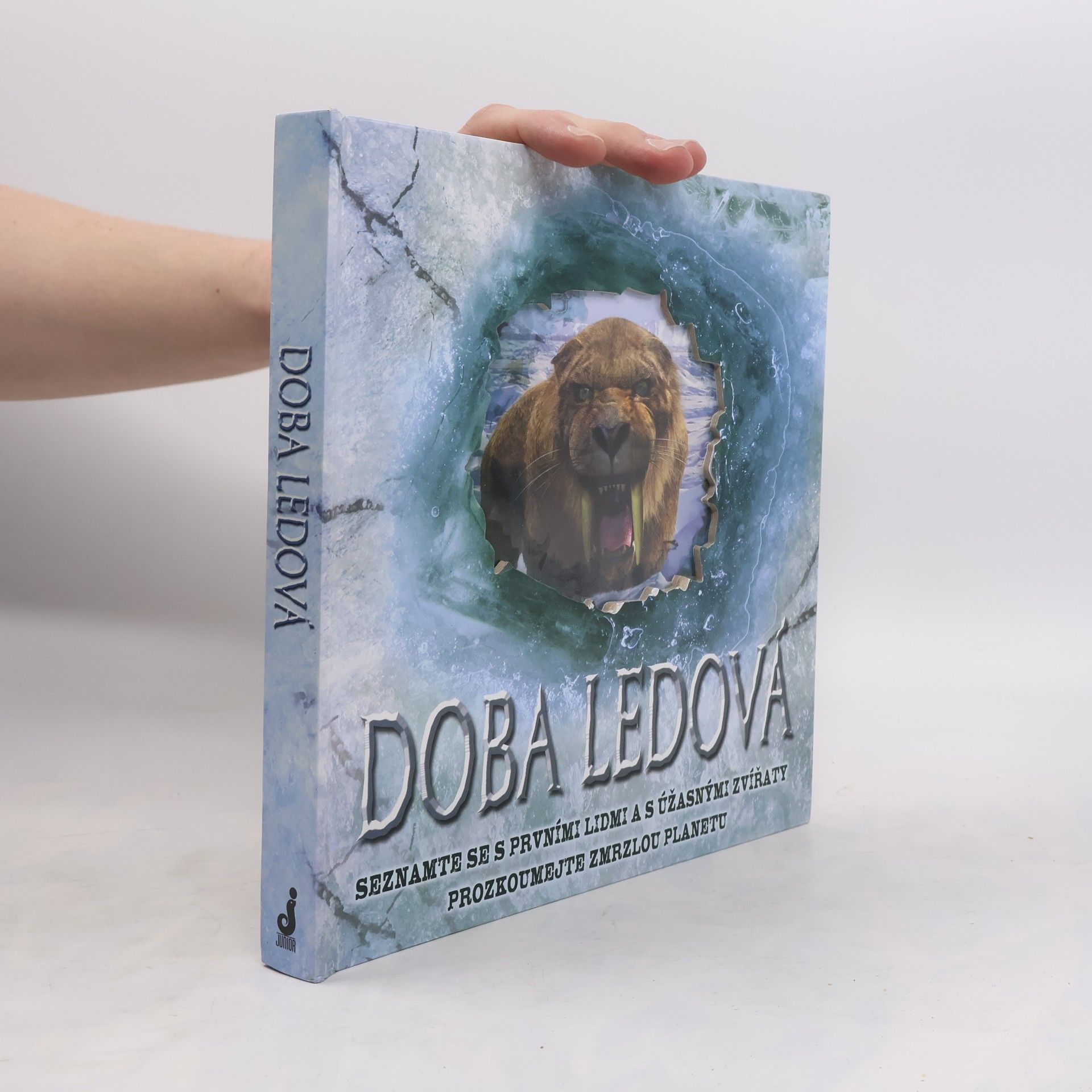 Stewart Ross Doba ledová: Seznamte se s prvními lidmi a s úžasnými zvířaty, prozkoumejte zmrzlou planetu