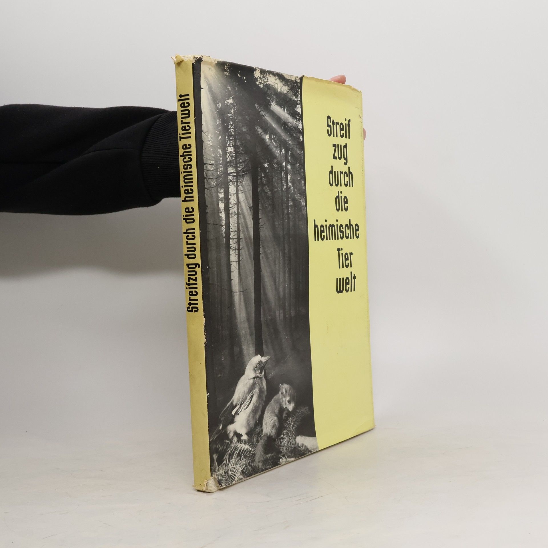 Various authors Streifzug durch die heimische Tierwelt