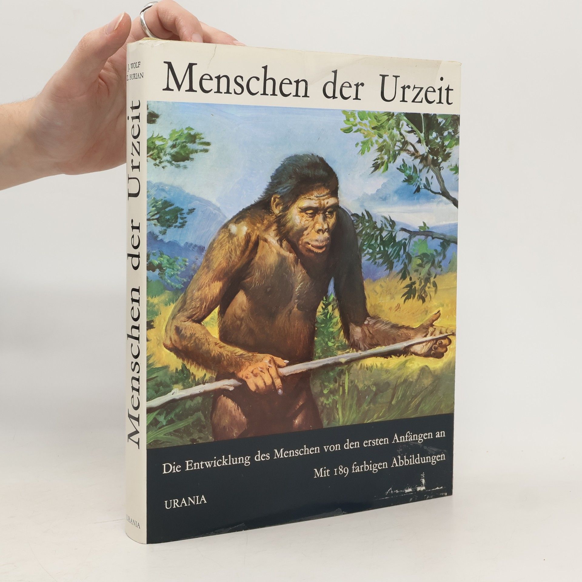Autorenkollektiv Menschen der Urzeit