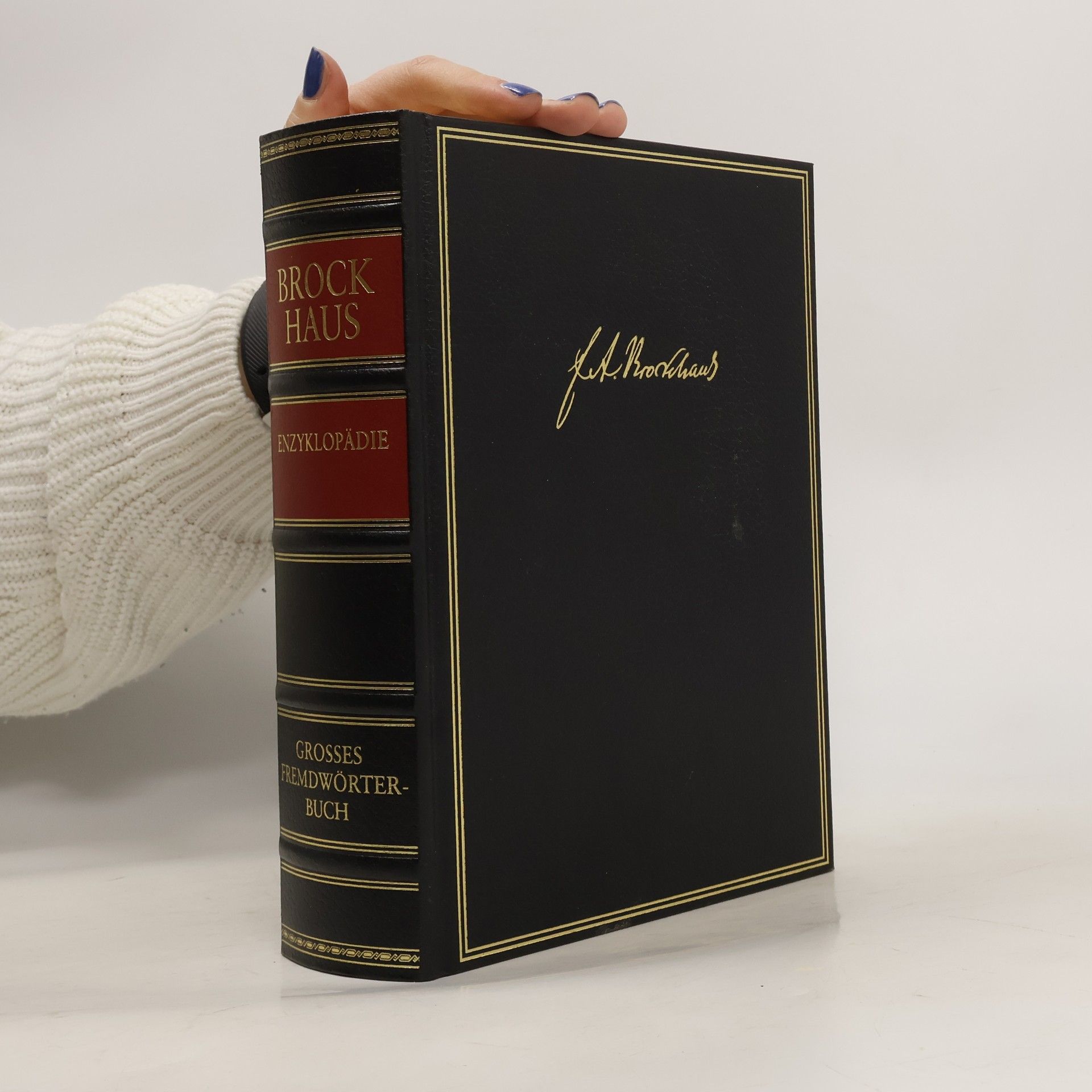 AA.VV. Brockhaus Enzyklopädie. Das große Fremdwörterbuch