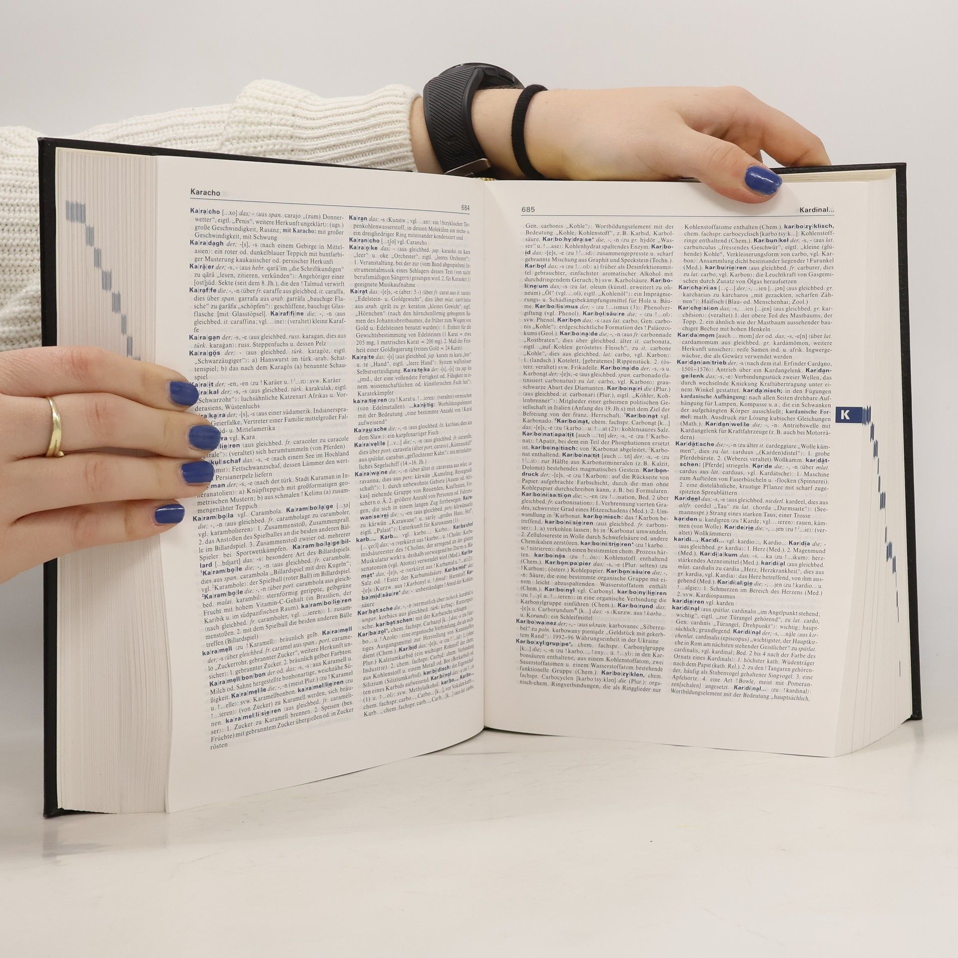 AA.VV. Brockhaus Enzyklopädie. Das große Fremdwörterbuch