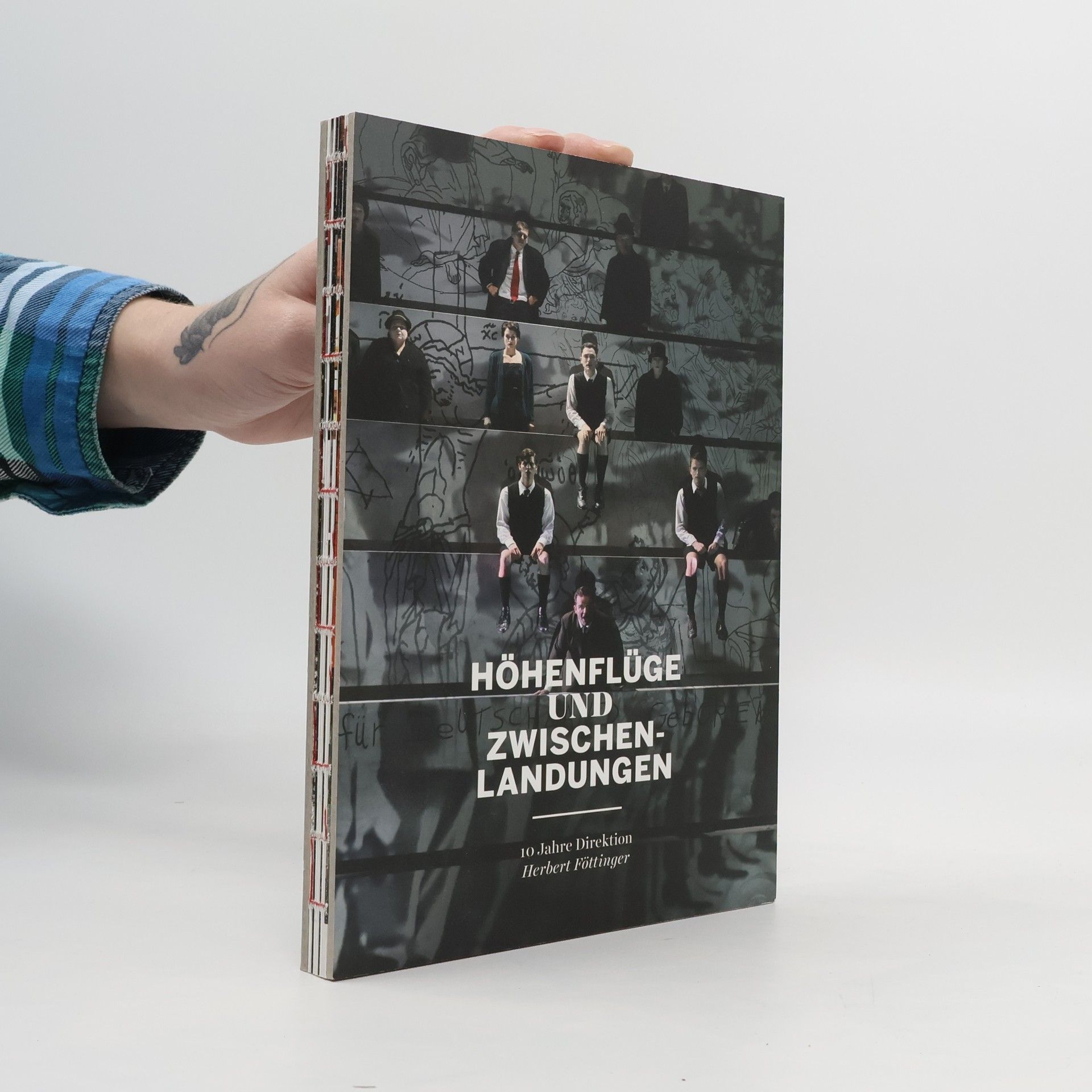 Collectif d'auteurs Höhenflüge und Zwischenlandungen