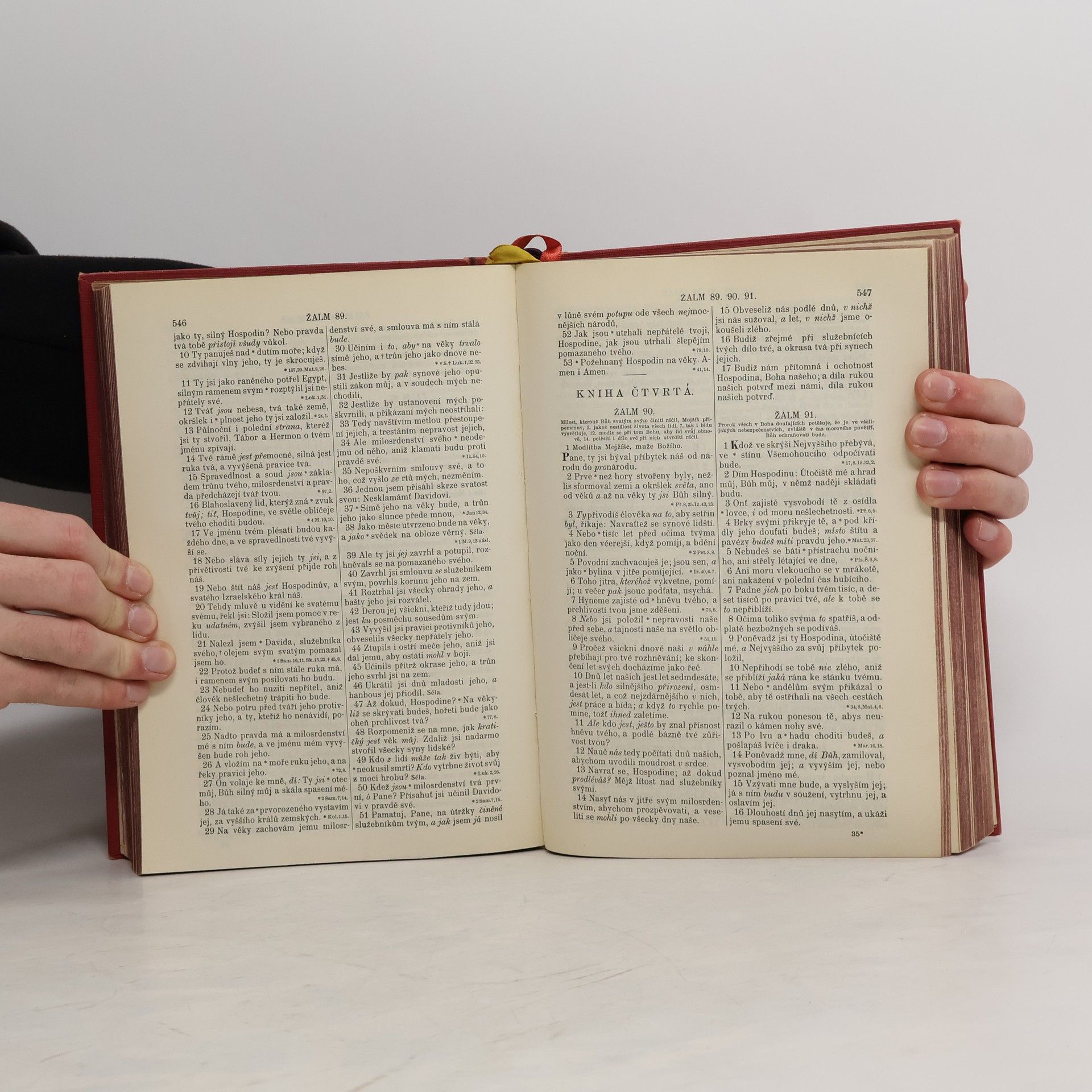 Kolektiv autorů Bible svatá aneb Všecka Svatá písma Starého i Nového zákona