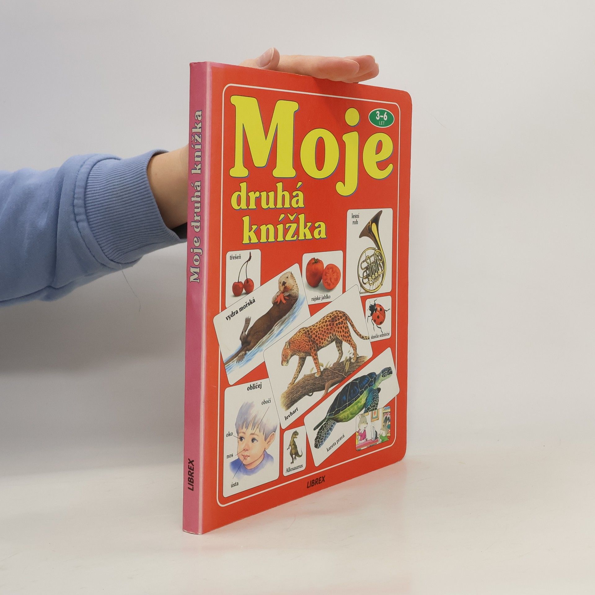 kolektiv Moje druhá knížka