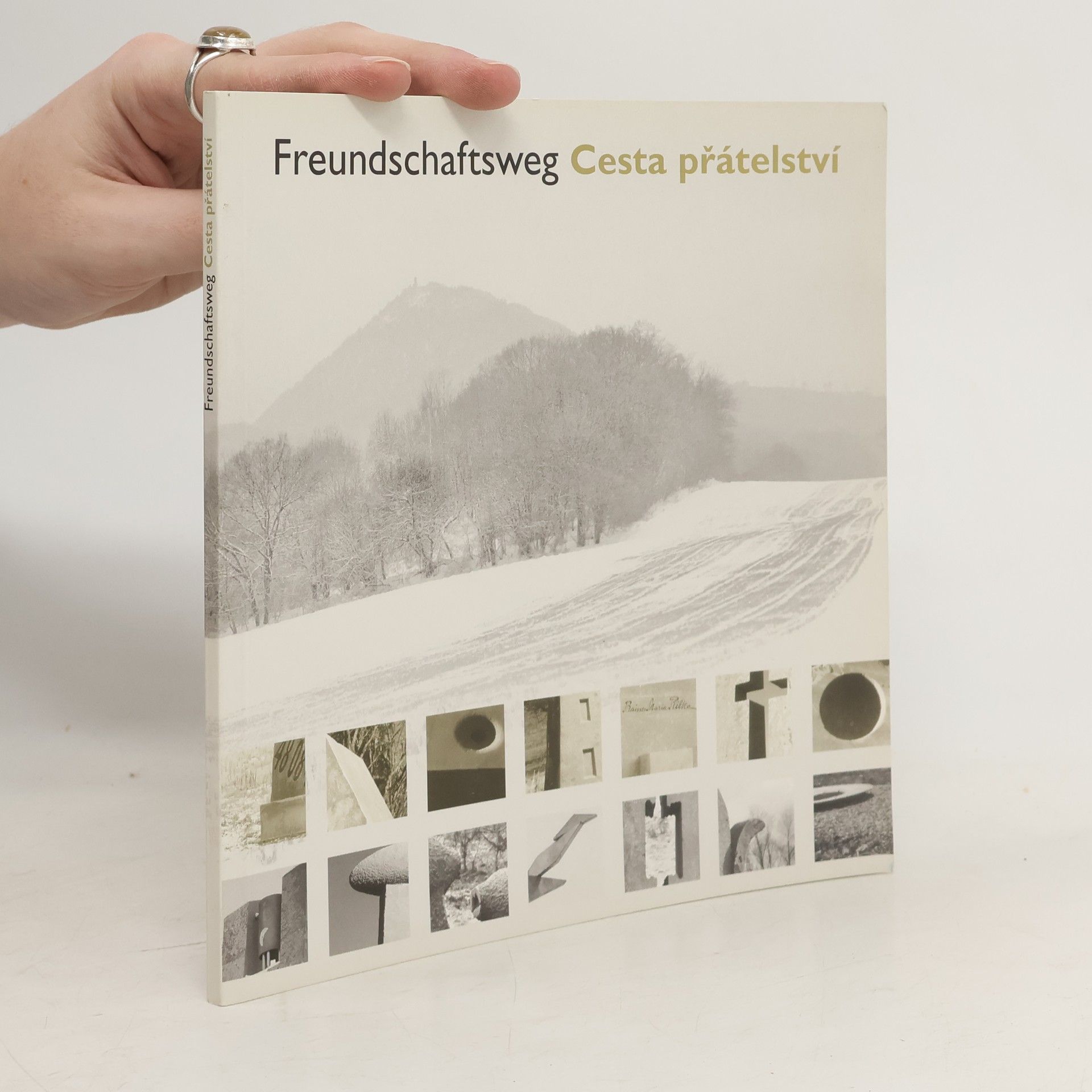 Kolektív autorov Freundschaftsweg Cesta přátelství