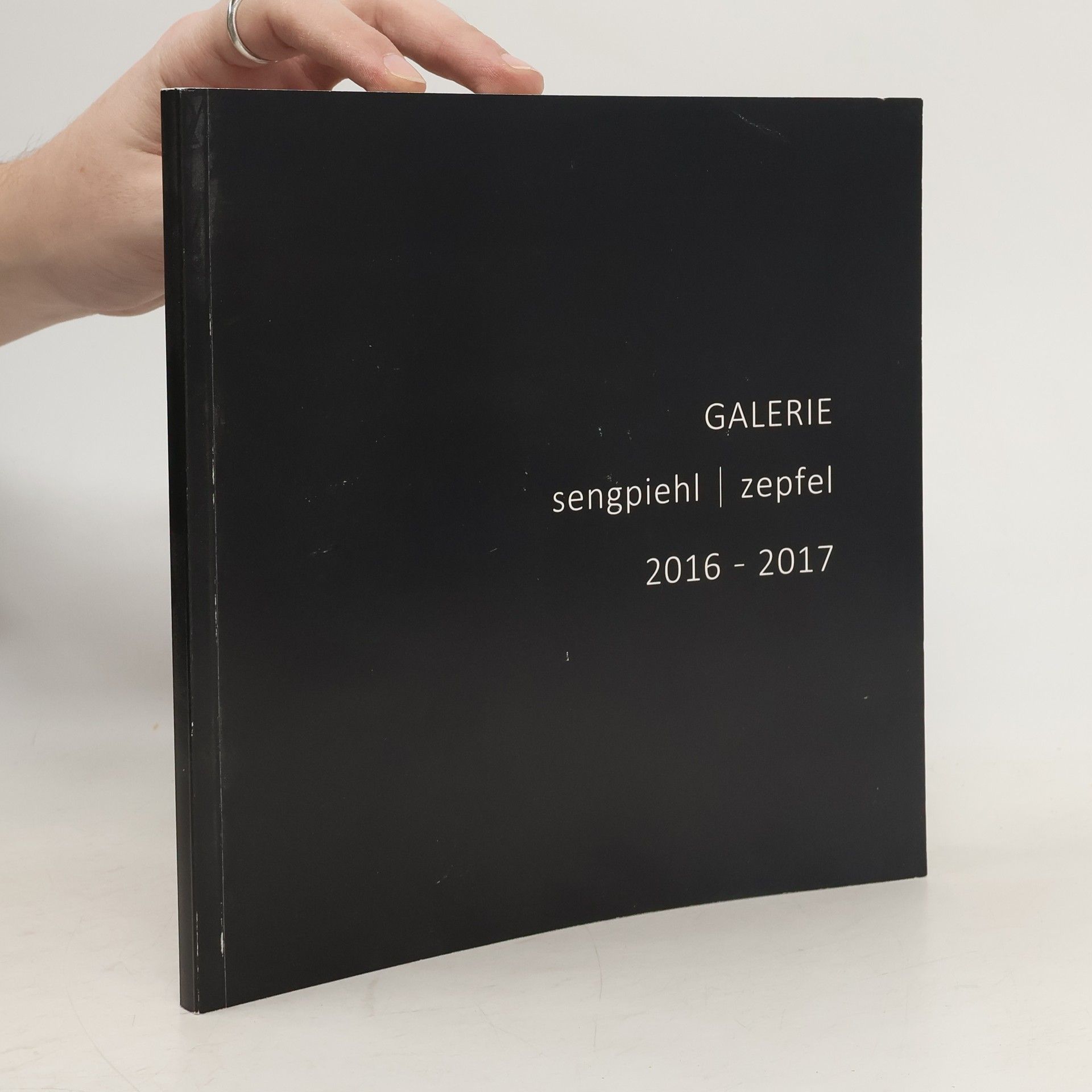 AA.VV. Galerie Sengpiehl Zepfel 2016-2017