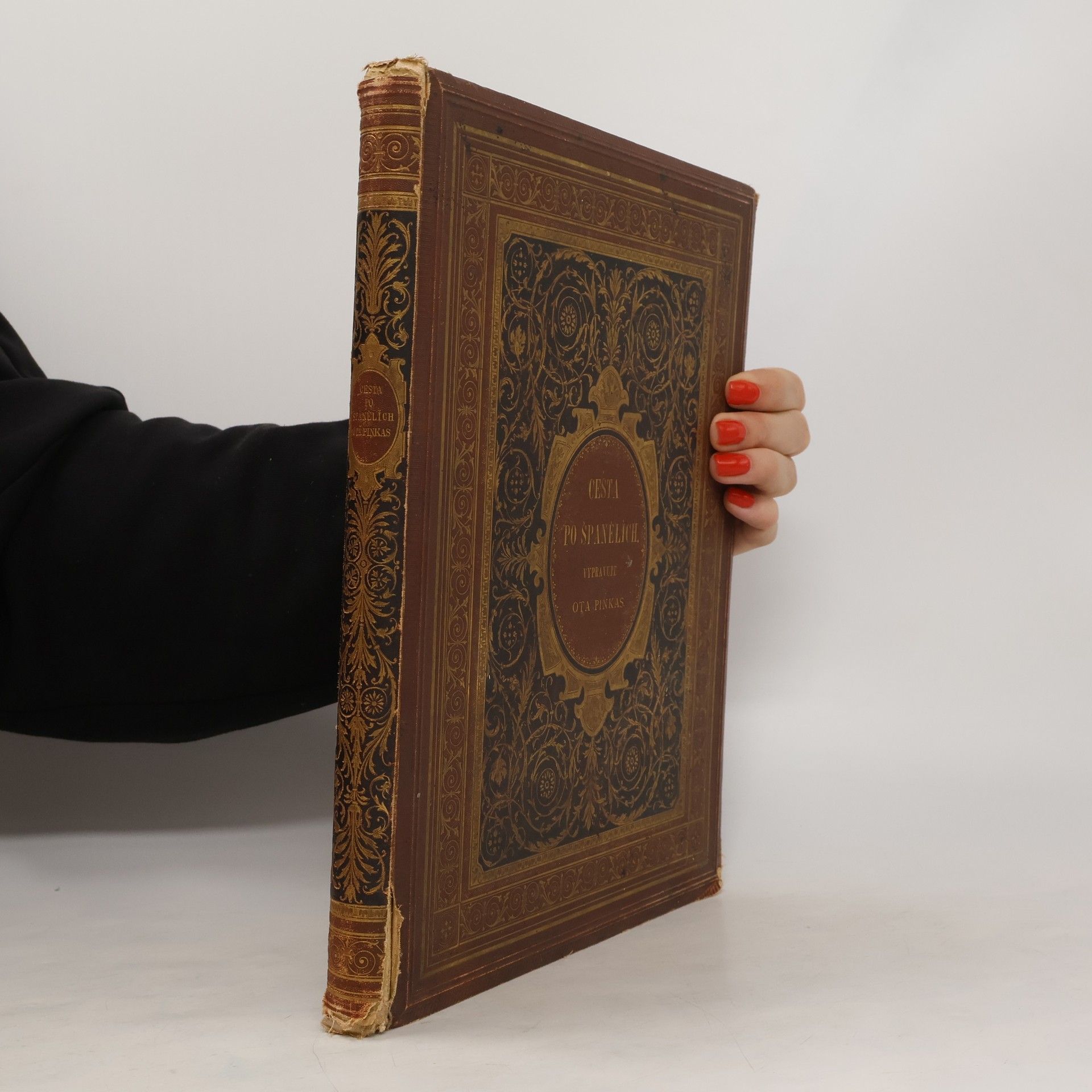 Cesta po Španělích