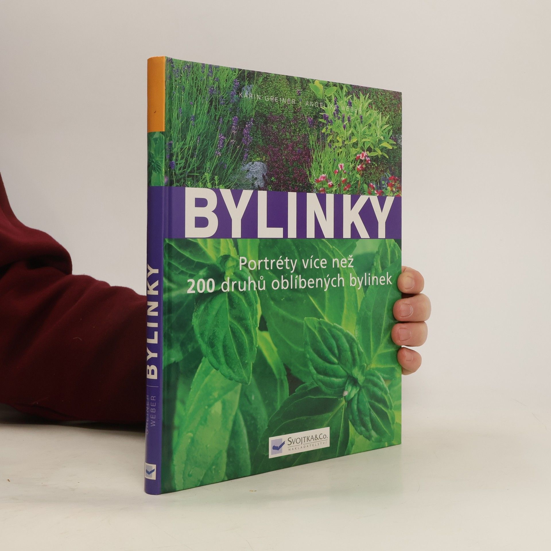 Karin Greiner Bylinky: Nová přehledná kniha s portréty více než 200 druhů oblíbených bylinek