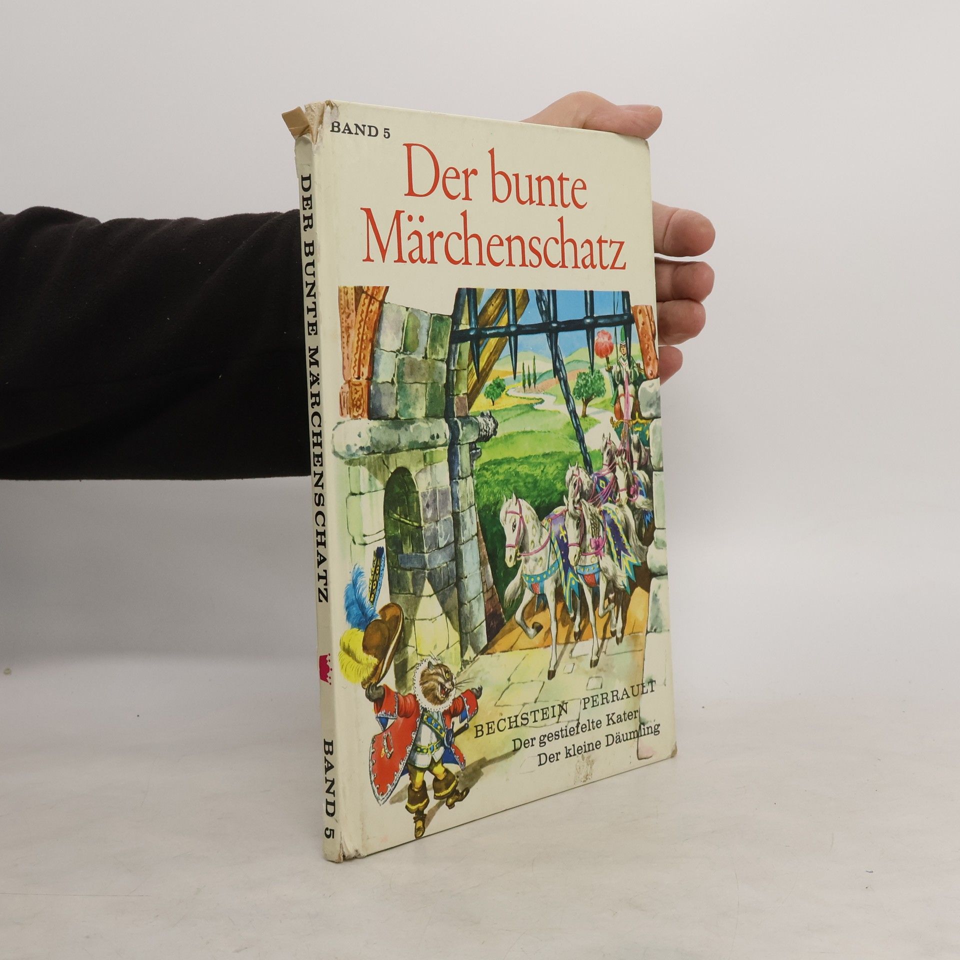 kolektiv Der bunte Märchenschatz. Band 5