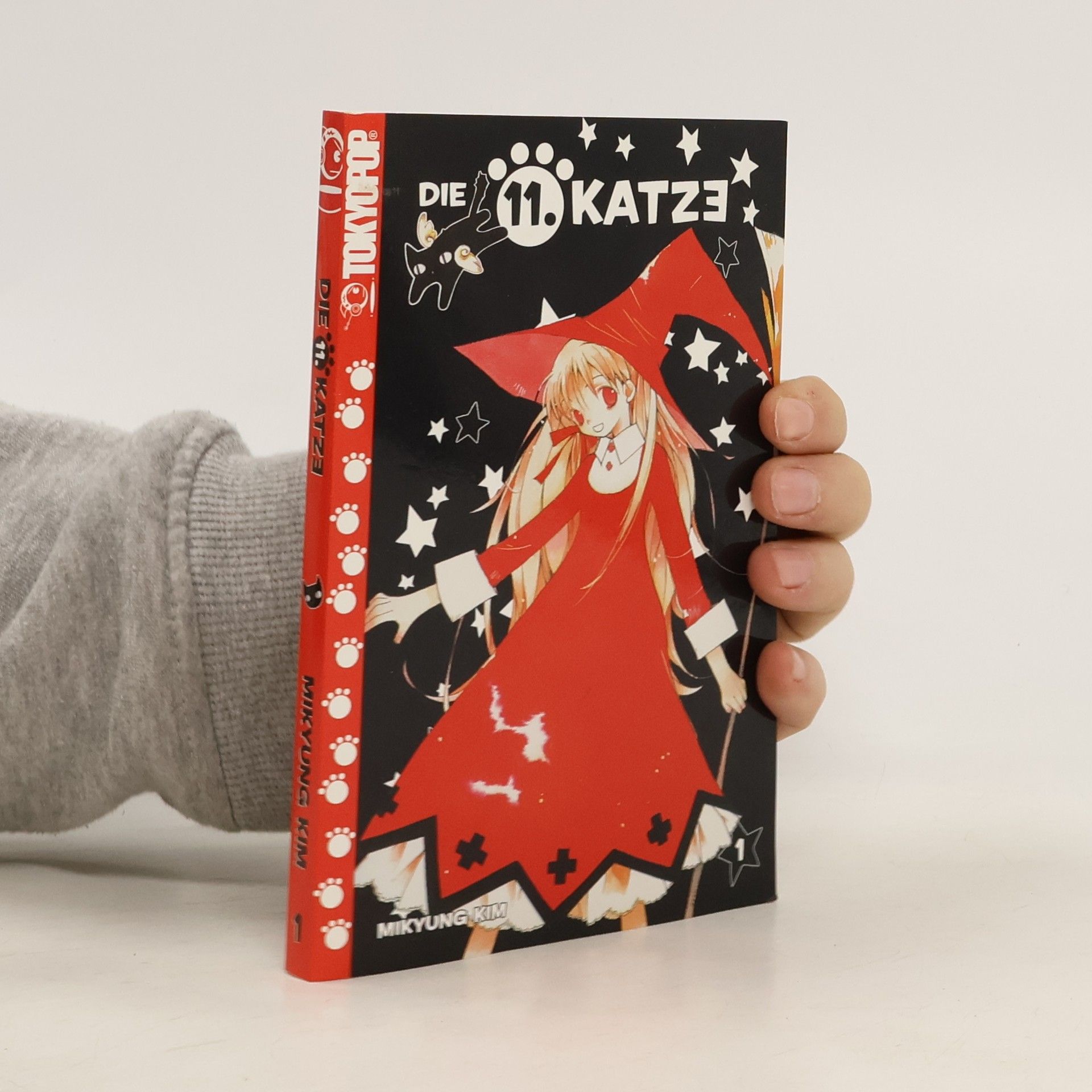 kolektiv Die 11. Katze