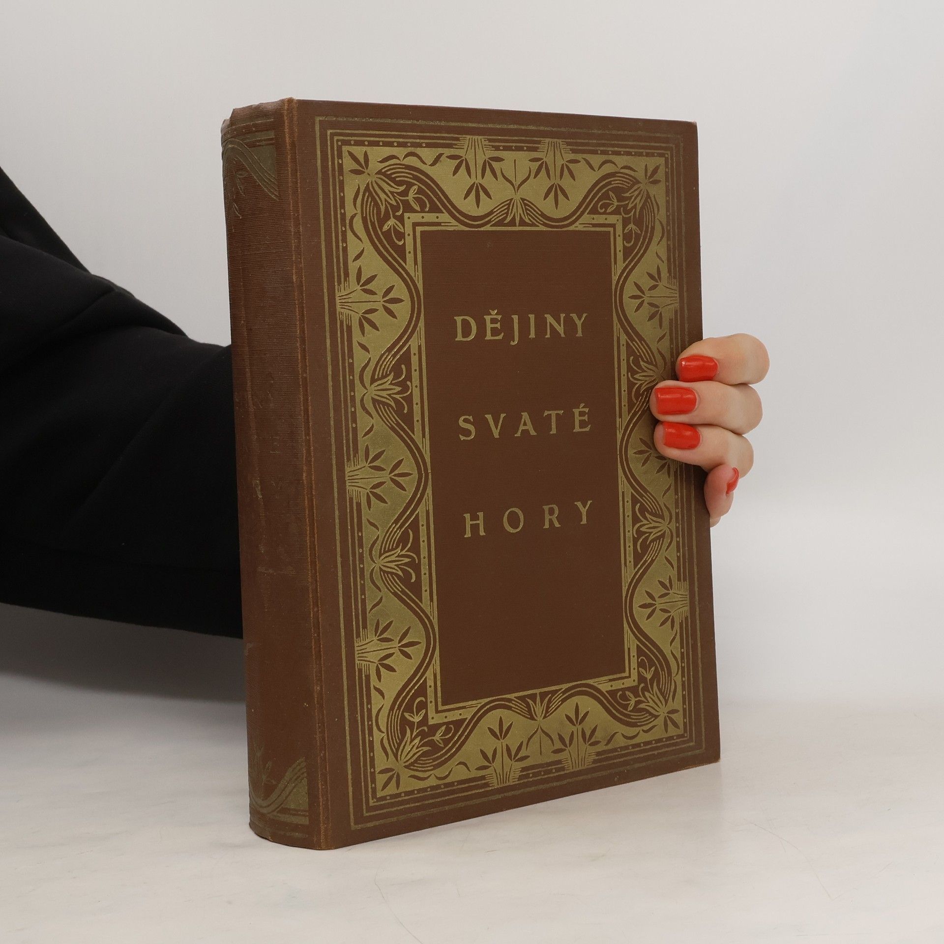 František Xavier Holas Dějiny Poutního místa mariánského Svaté Hory u Příbramě