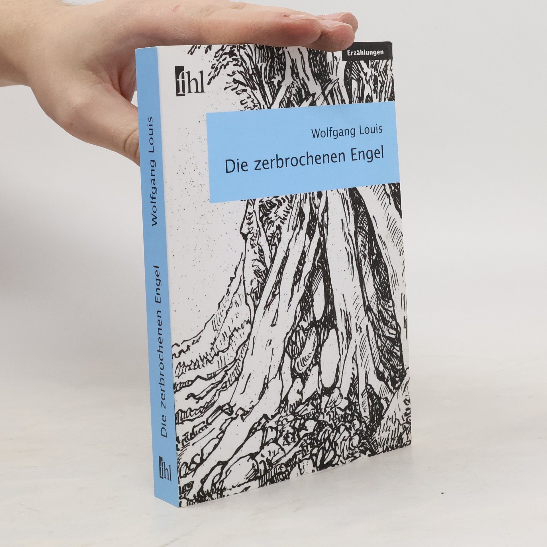 Wolfgang Louis Die zerbrochenen Engel