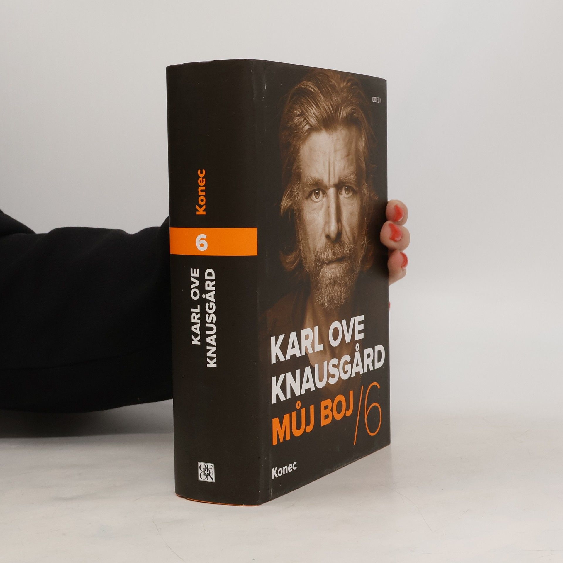 Karl Ove Knausgård Můj boj. 6, Konec