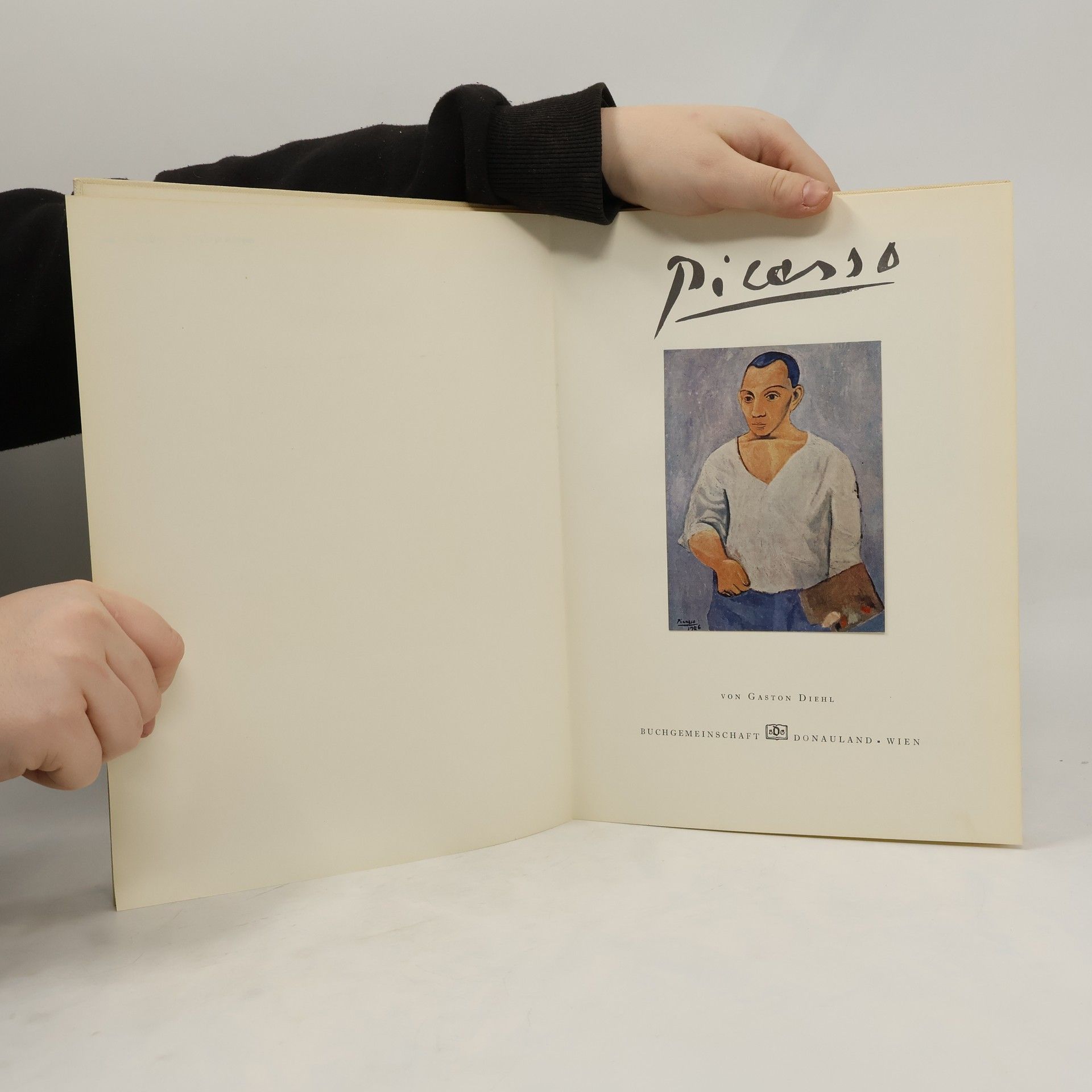Gaston Diehl Picasso