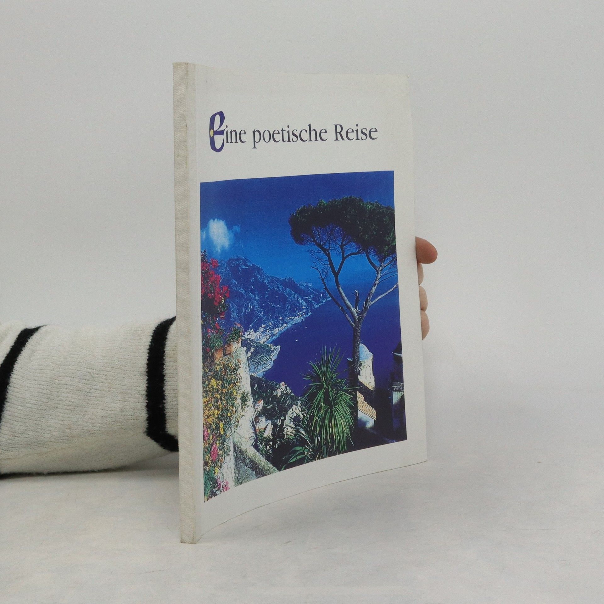 Autorenkollektiv Eine poetische Reise