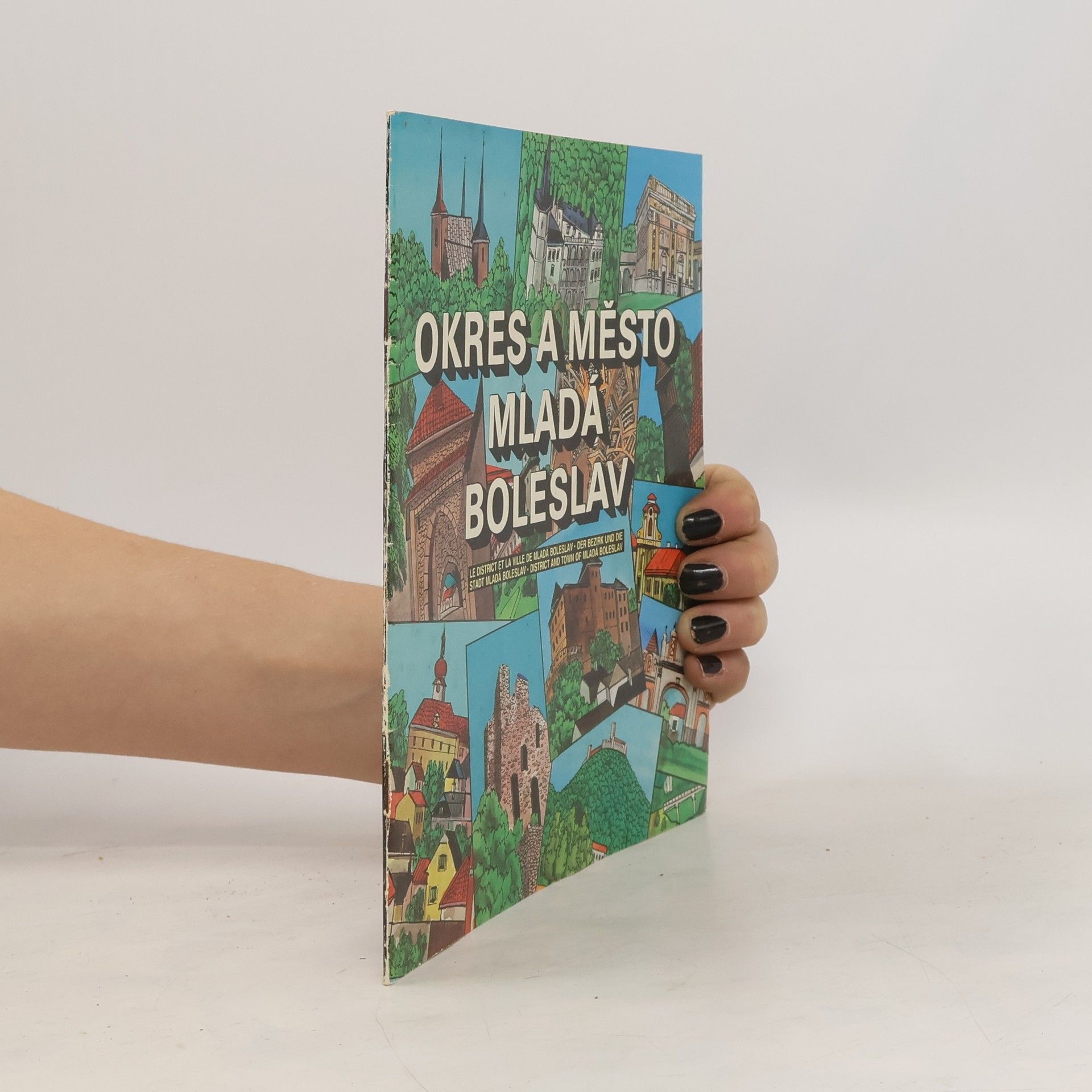 Collectif d'auteurs Okres a město Mladá Boleslav
