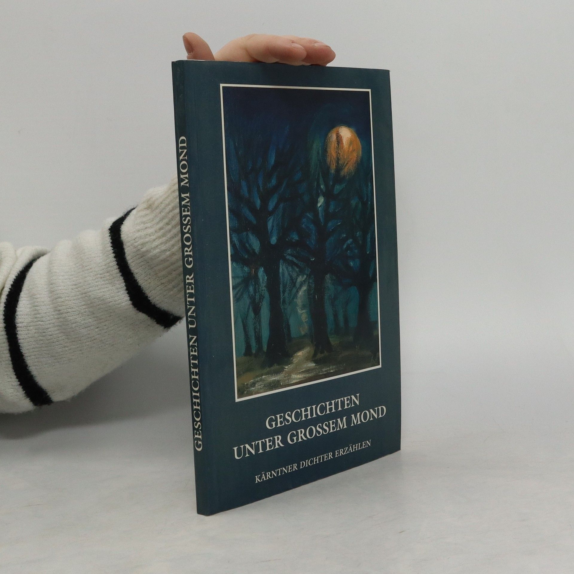 Autorenkollektiv Geschichten unter grossem Mond