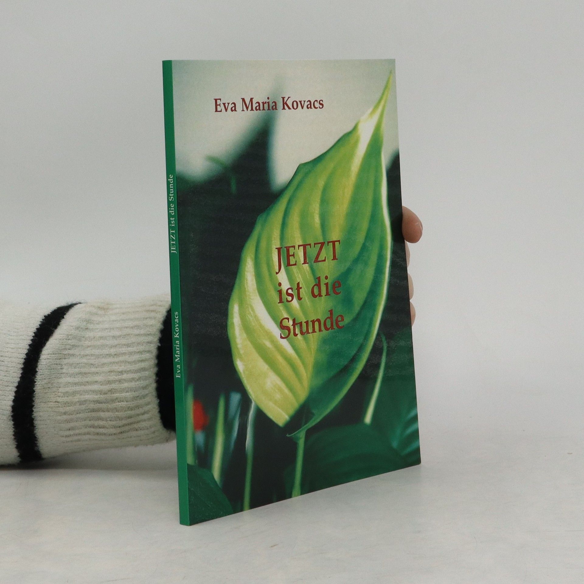 Eva Maria Kovacs Jetzt ist die Stunde