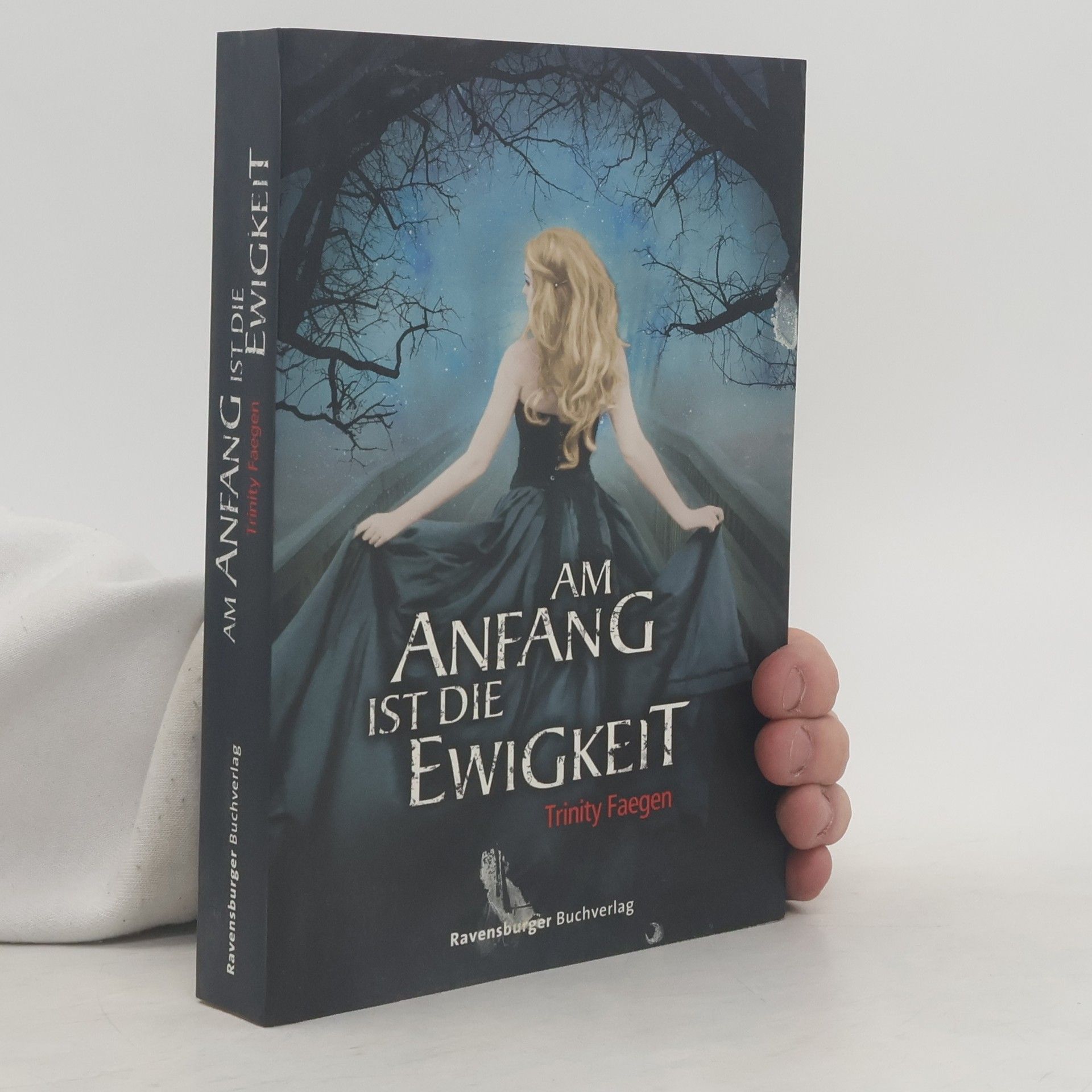 Trinity Faegen Am Anfang ist die Ewigkeit