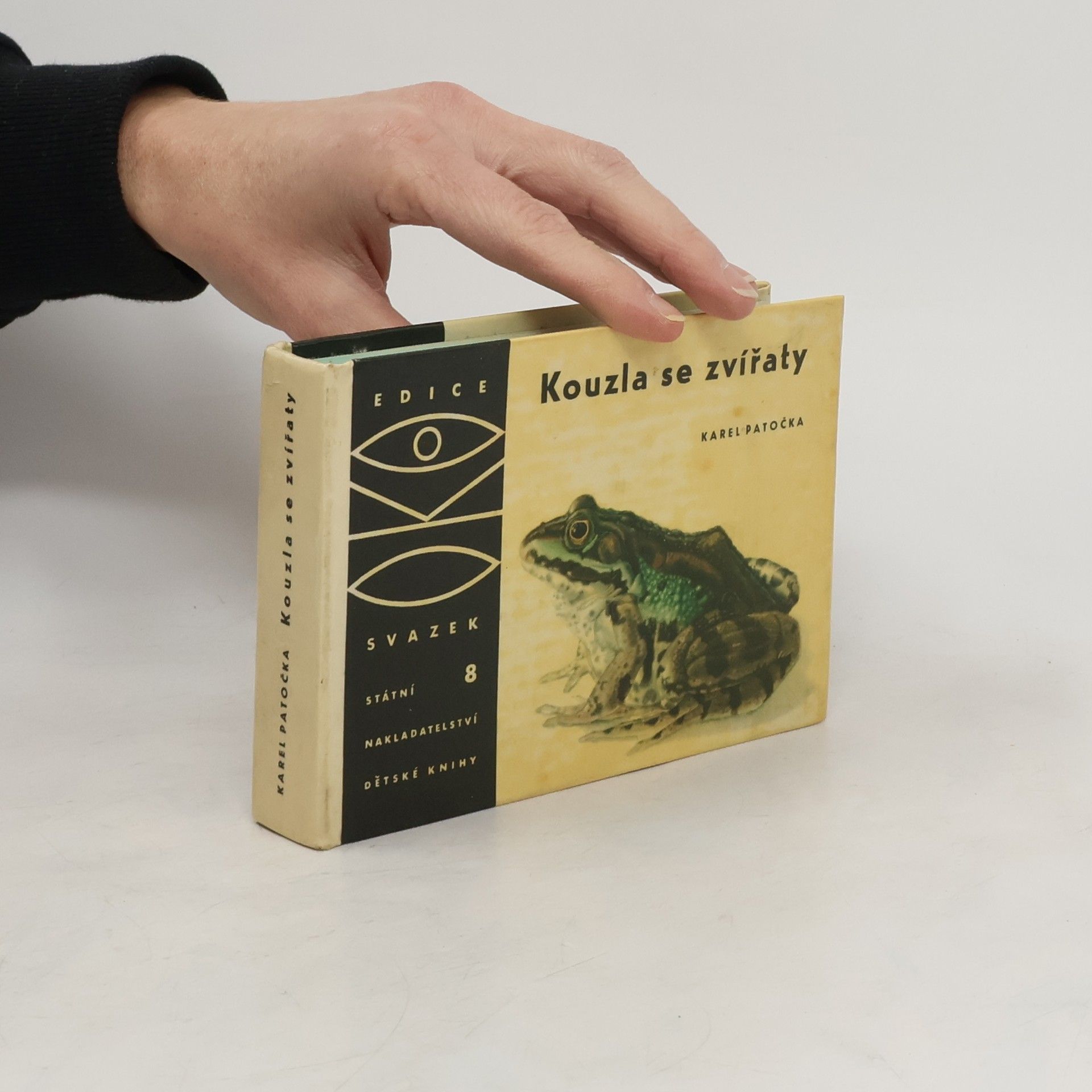 Autorenkollektiv Kouzla se zvířaty