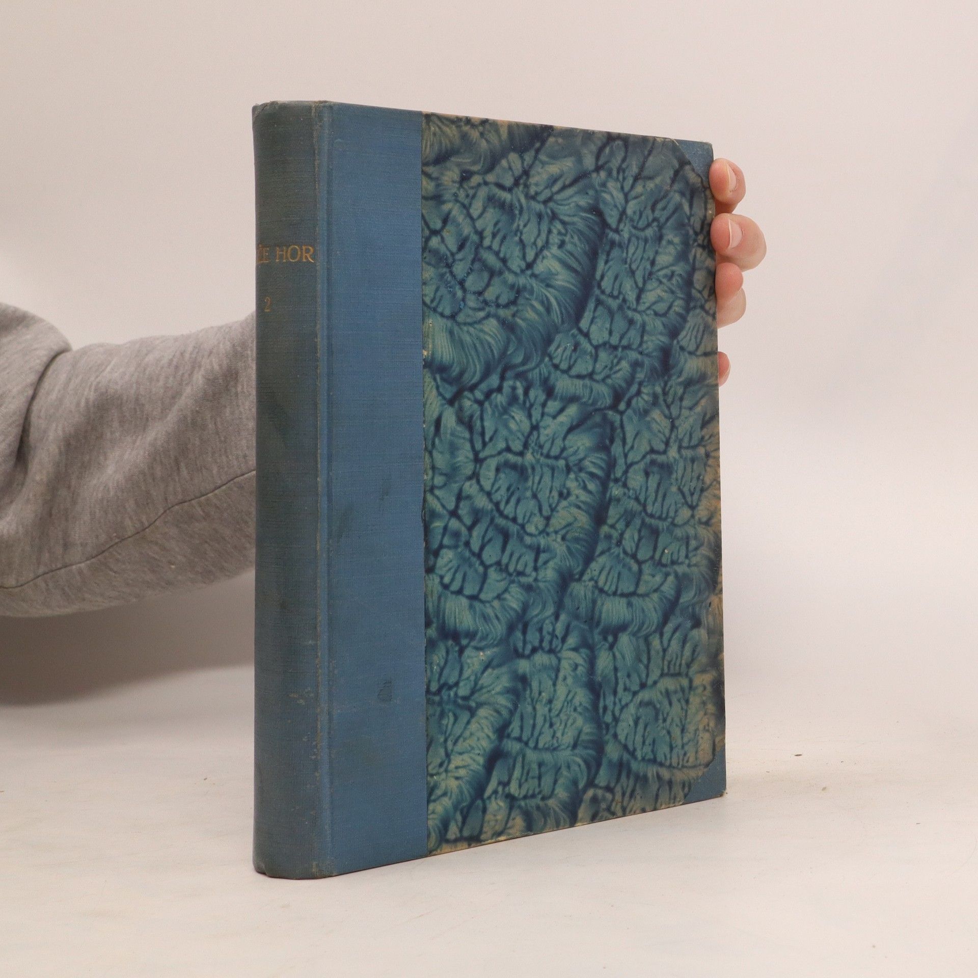 Kolektiv autorů Kníže hor 2