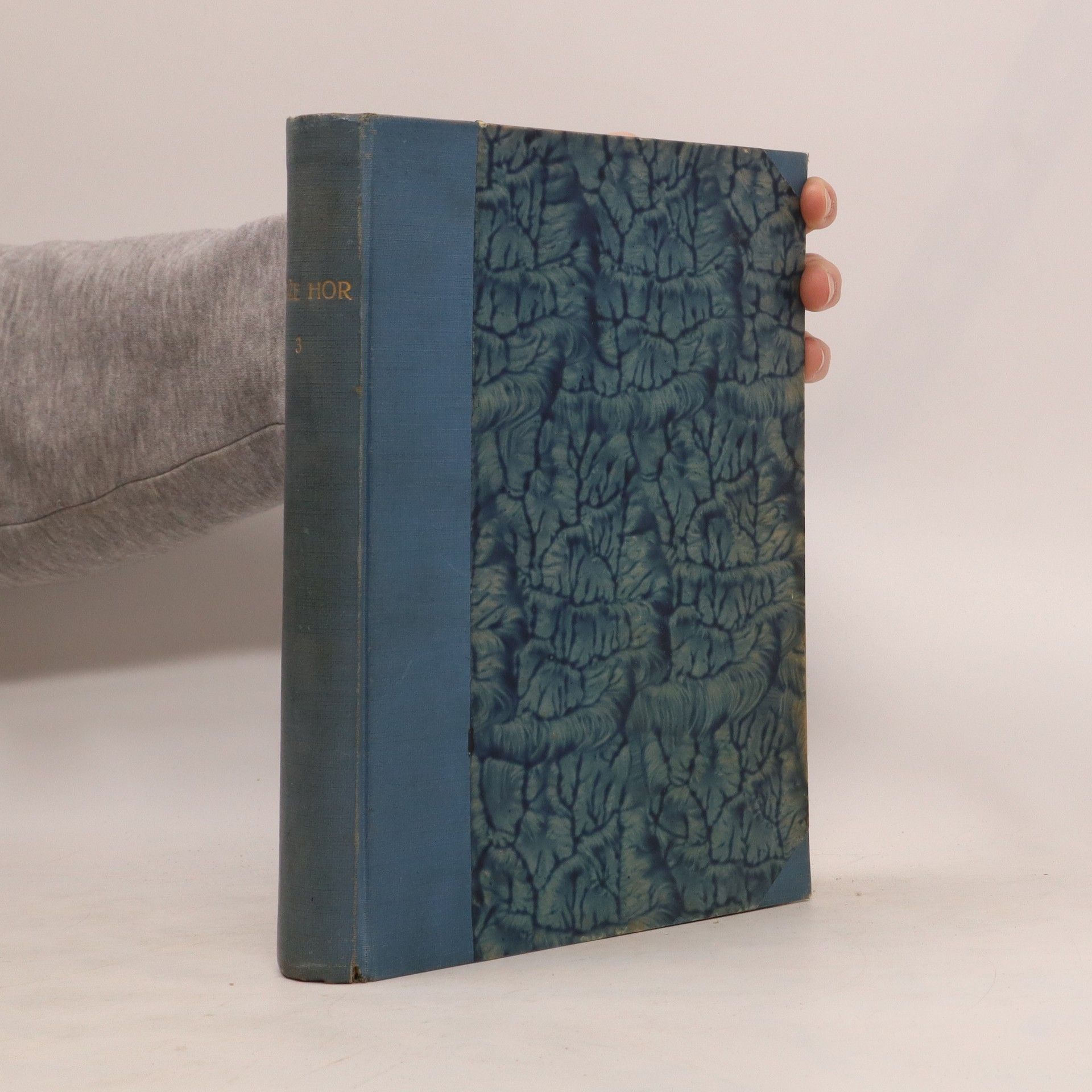 Kolektiv autorů Kníže hor 3