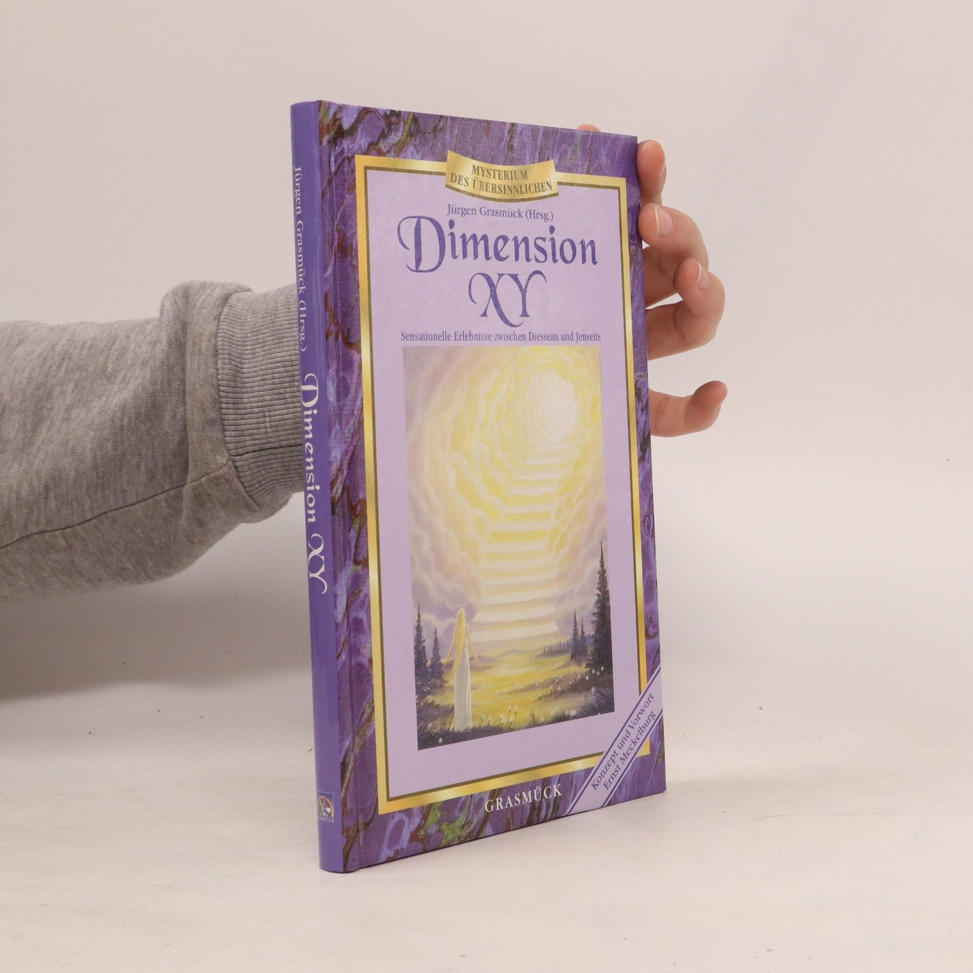 Jürgen Grasmück Dimension XY