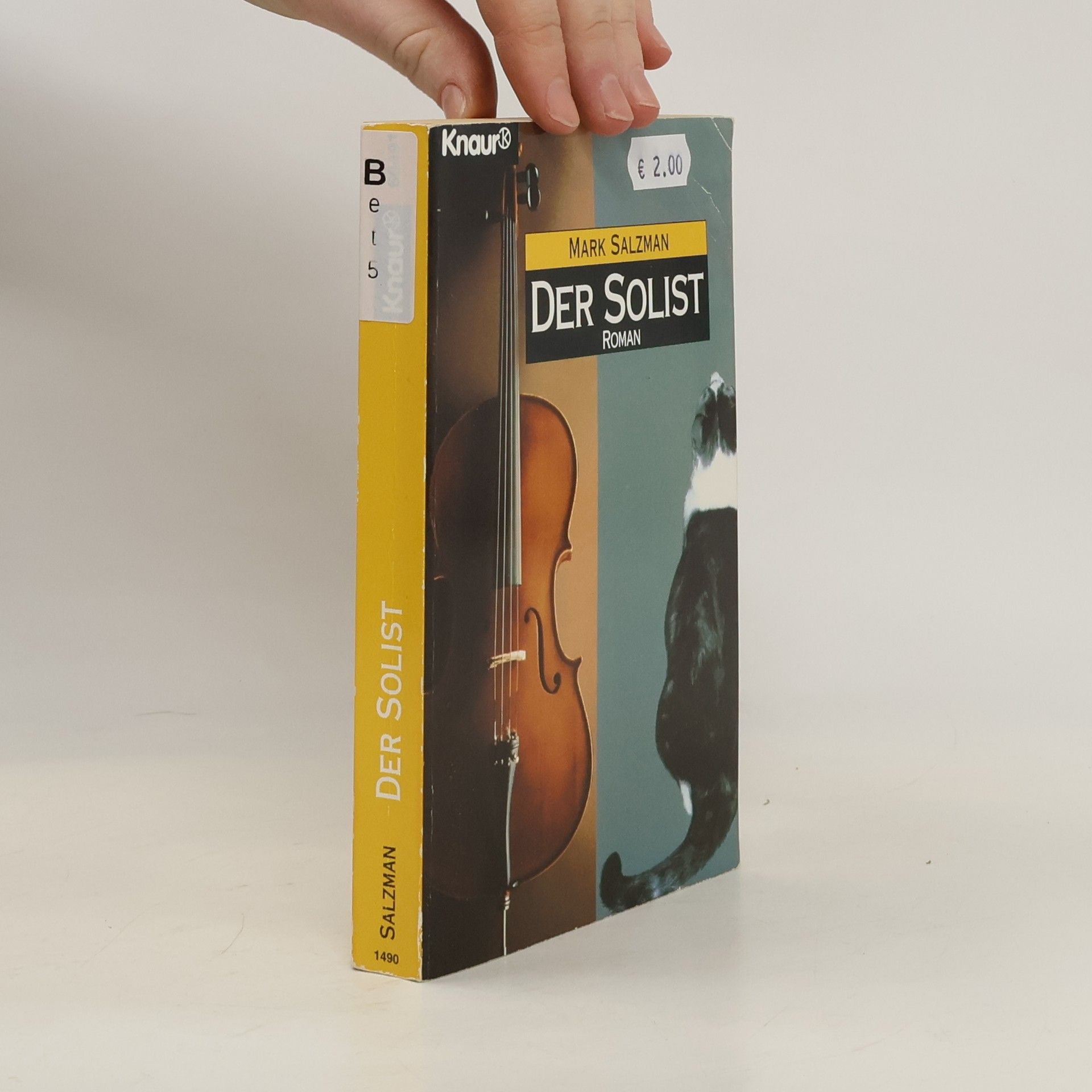 Mark Salzman Der Solist