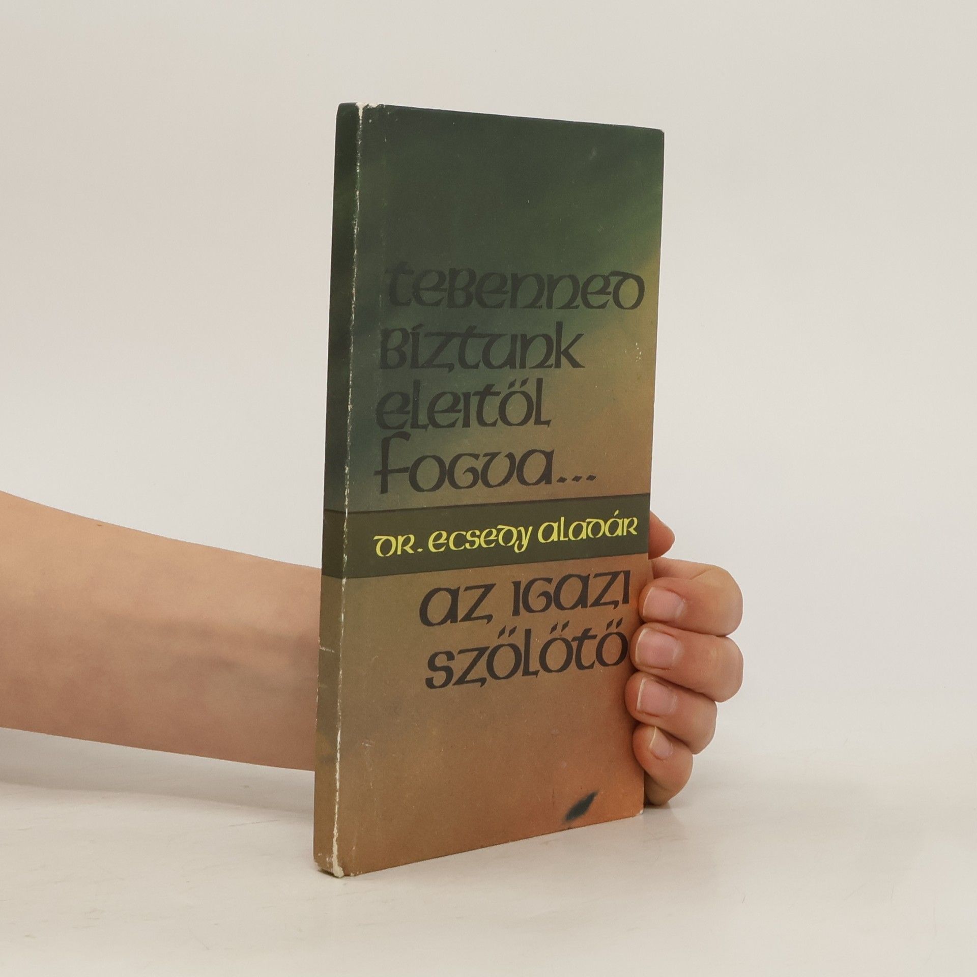 Ecsedy Aladár Tebenned bíztunk eleitől fogva. Az igazi szőlőtő