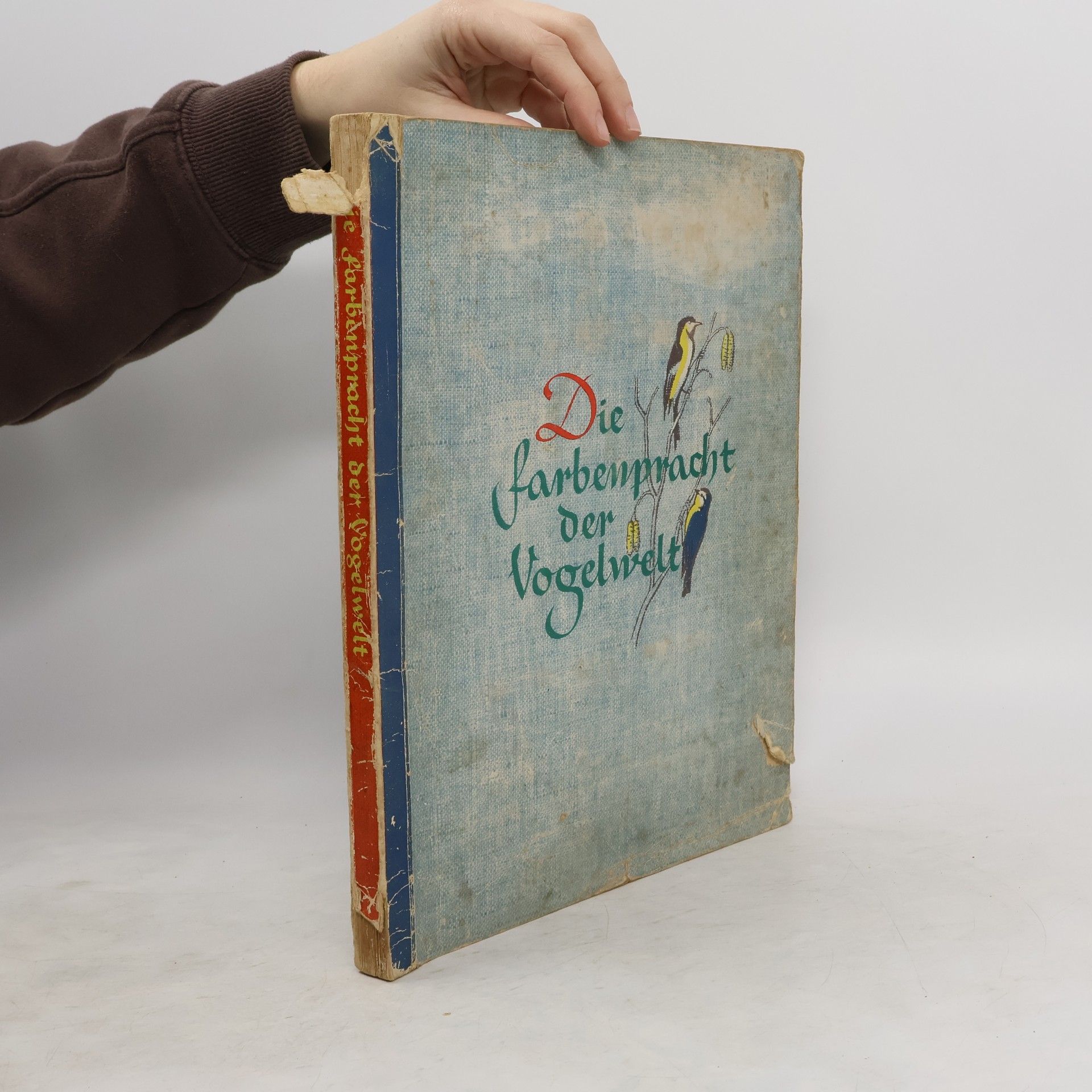 Autorenkollektiv Die farbenpracht der Vogelwelt