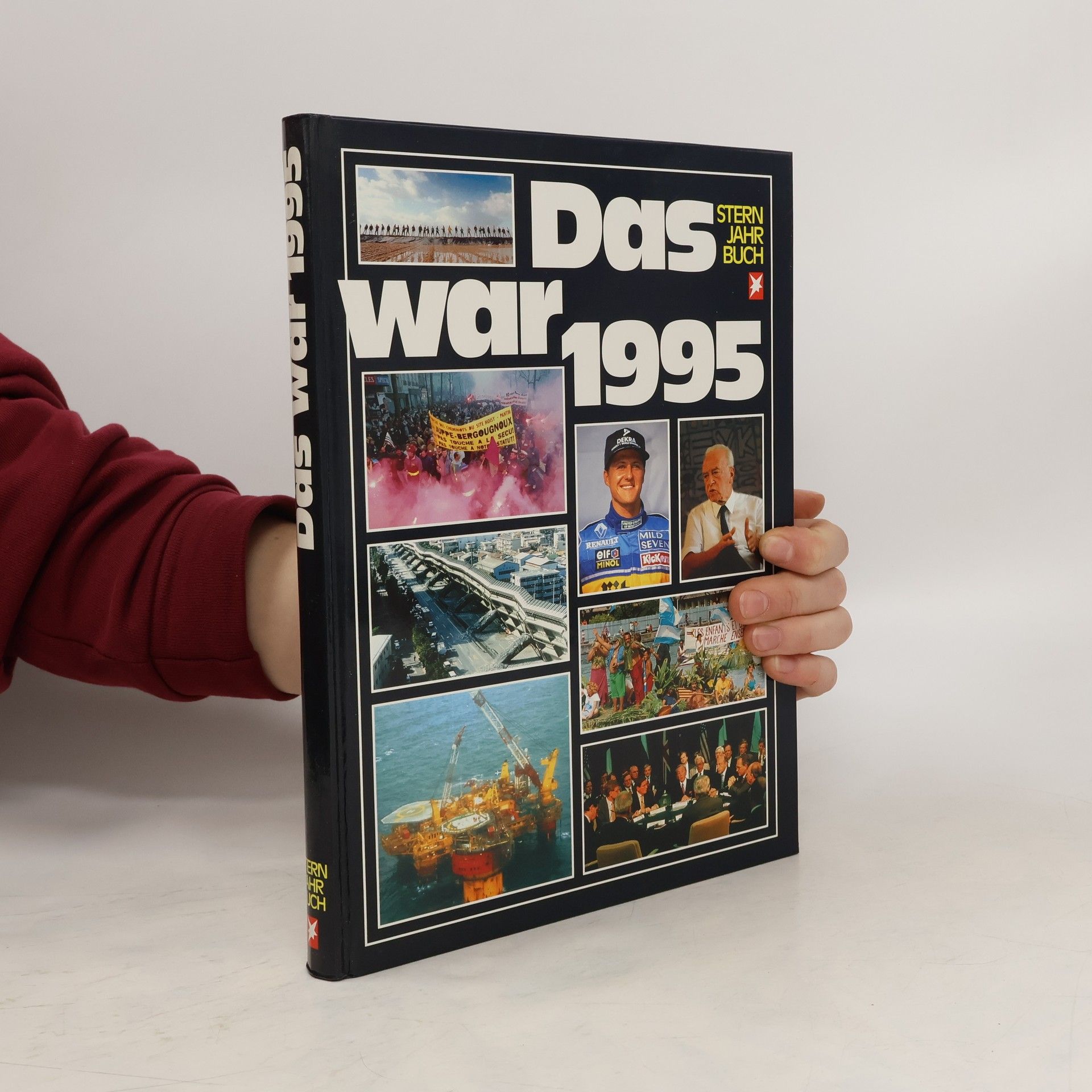 Collectif d'auteurs Das war 1995