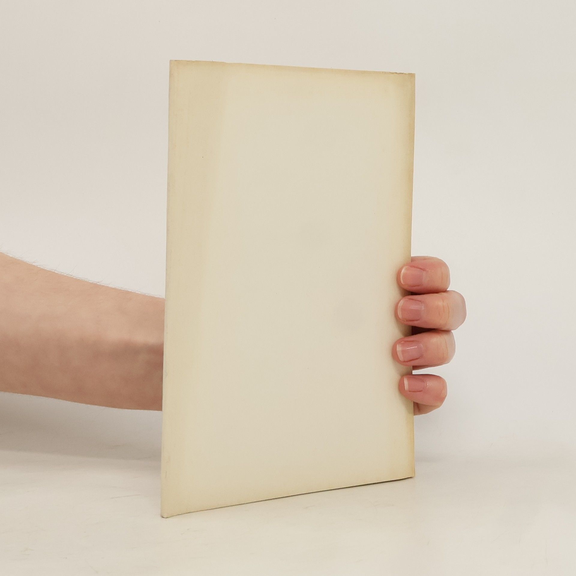 Collectif d'auteurs Základní směrnice o bezpečnosti a ochraně zdraví při práci v železniční dopravě