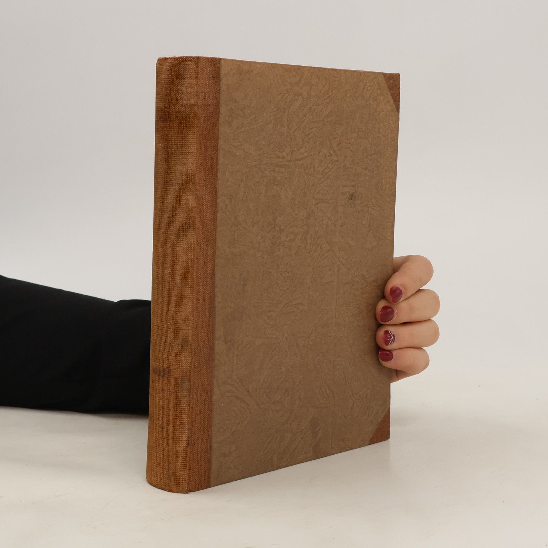 Collectif d'auteurs Dějiny ruské literatury