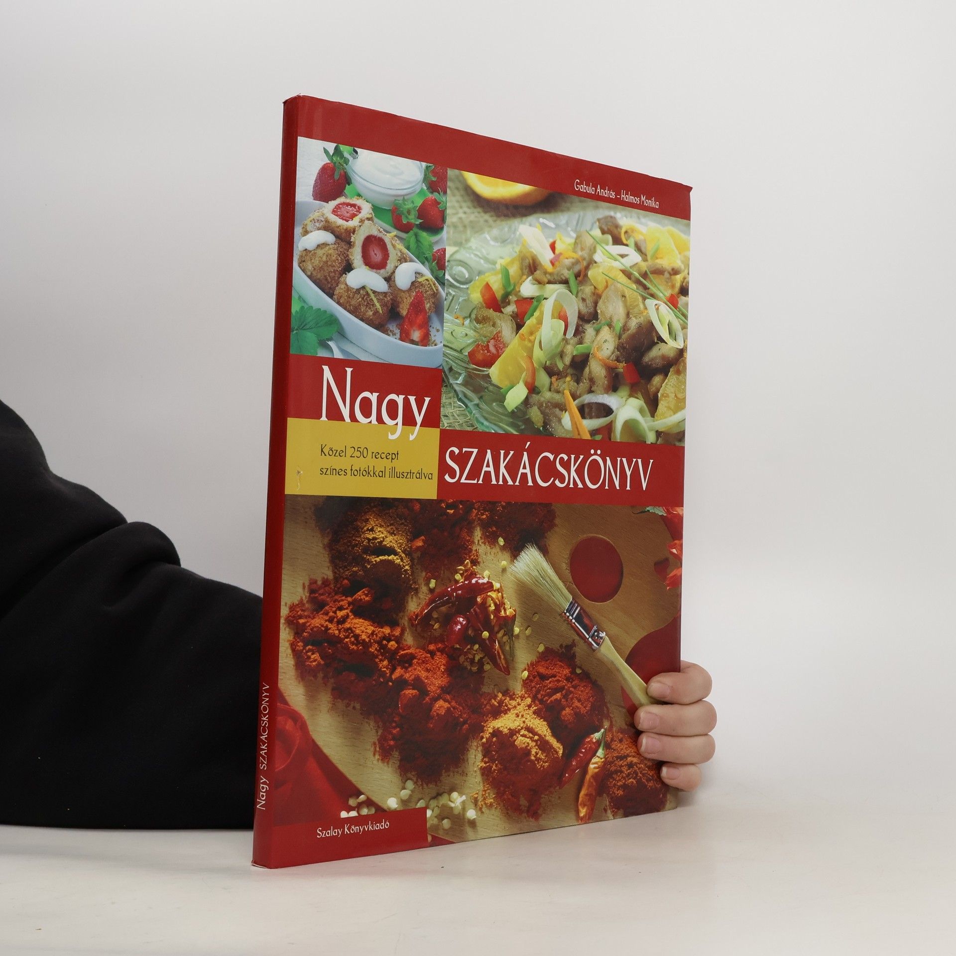 AA.VV. Nagy szakácskönyv