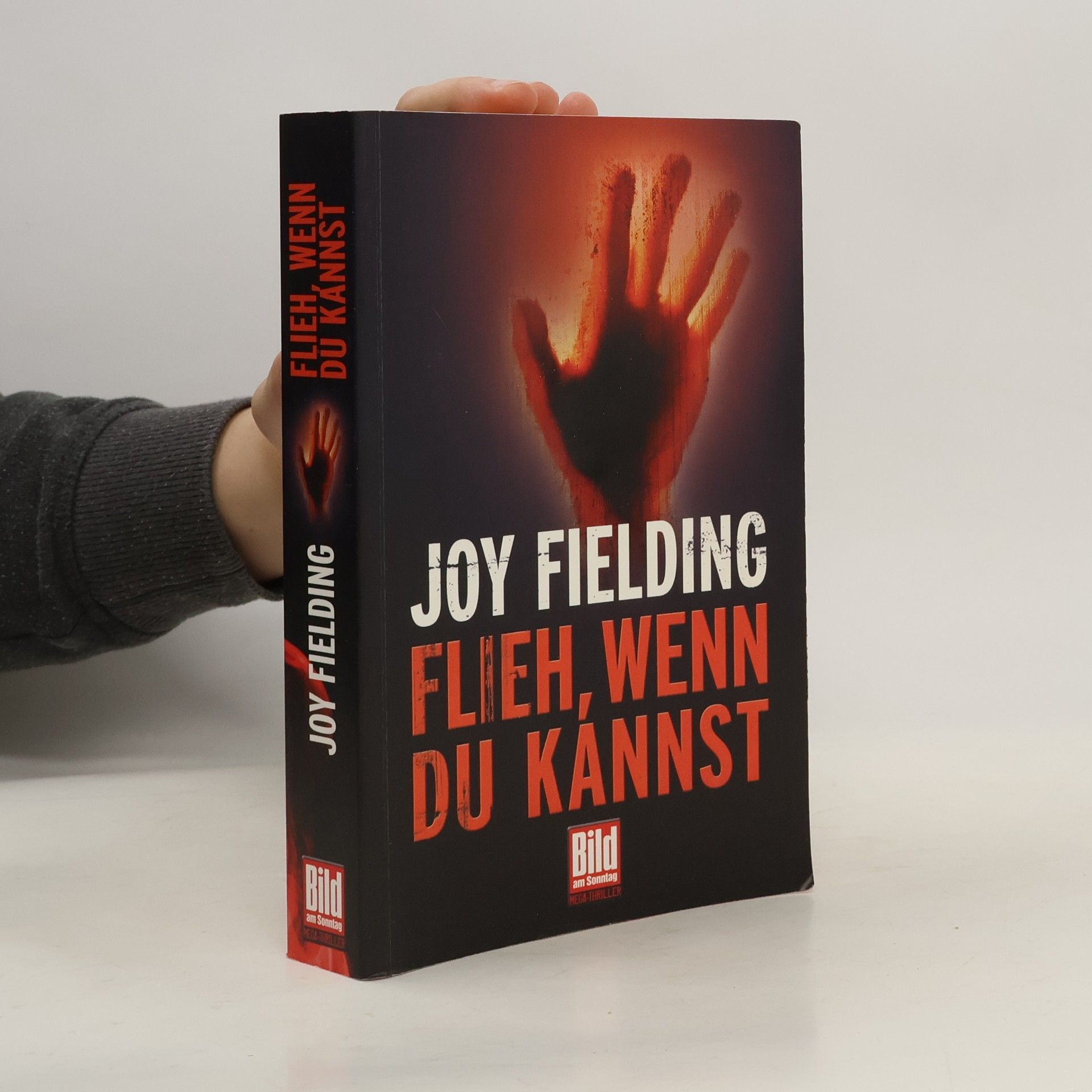 Joy Fielding Flieh, wenn du kannst