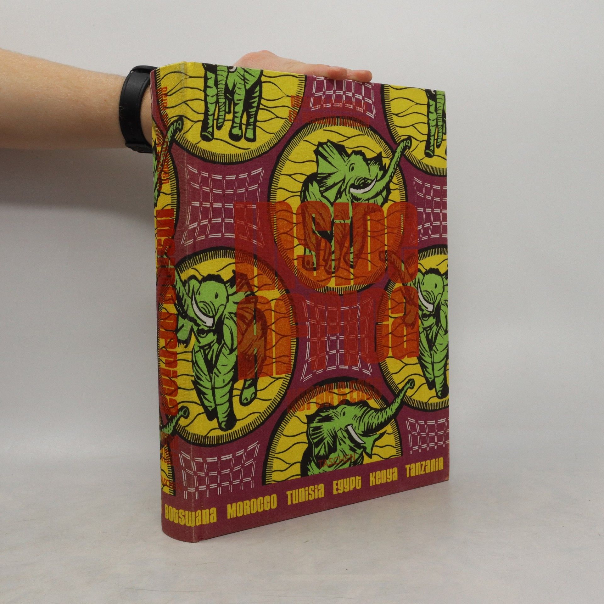 Kolektiv autorů Inside Africa: North & East