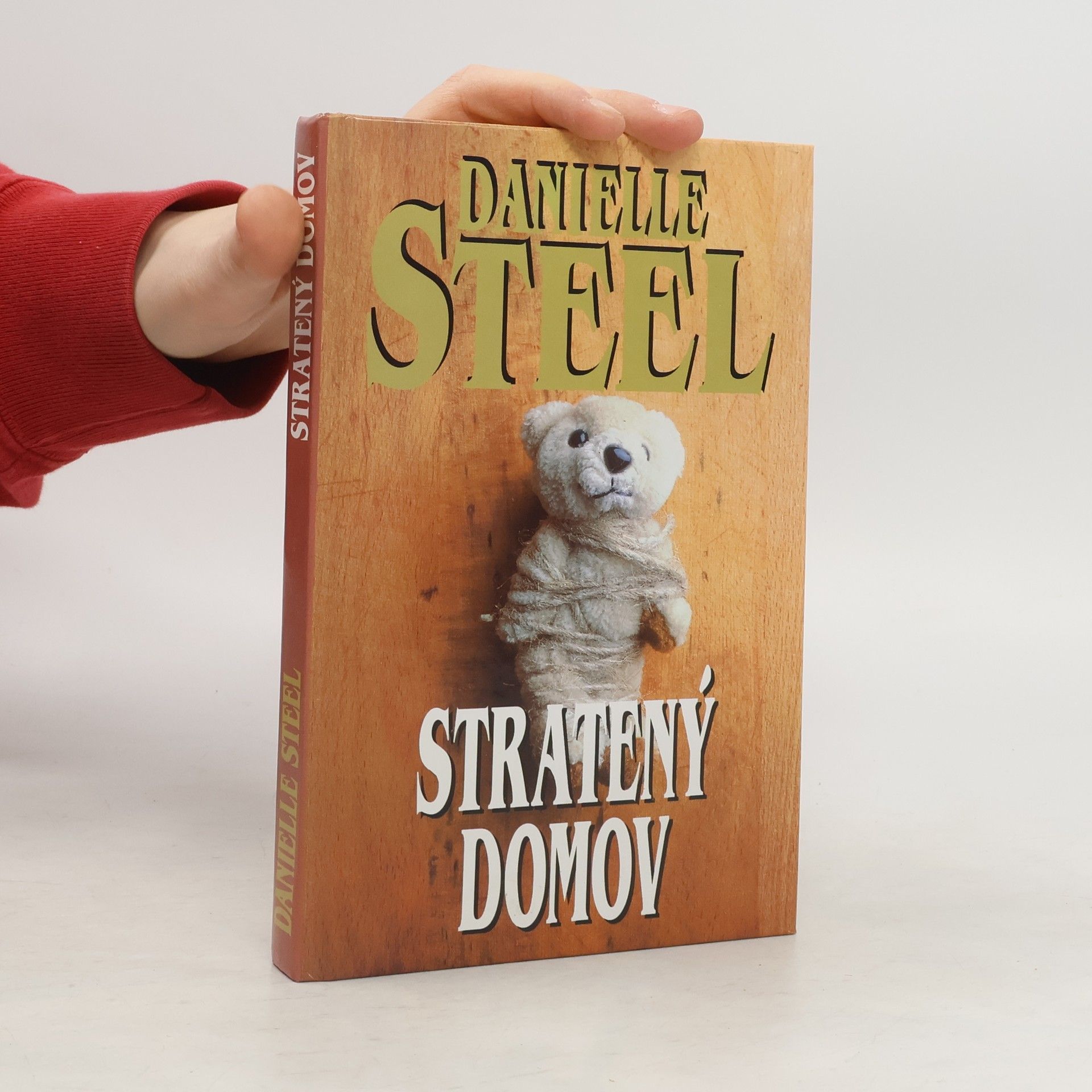 Danielle Steel Stratený domov