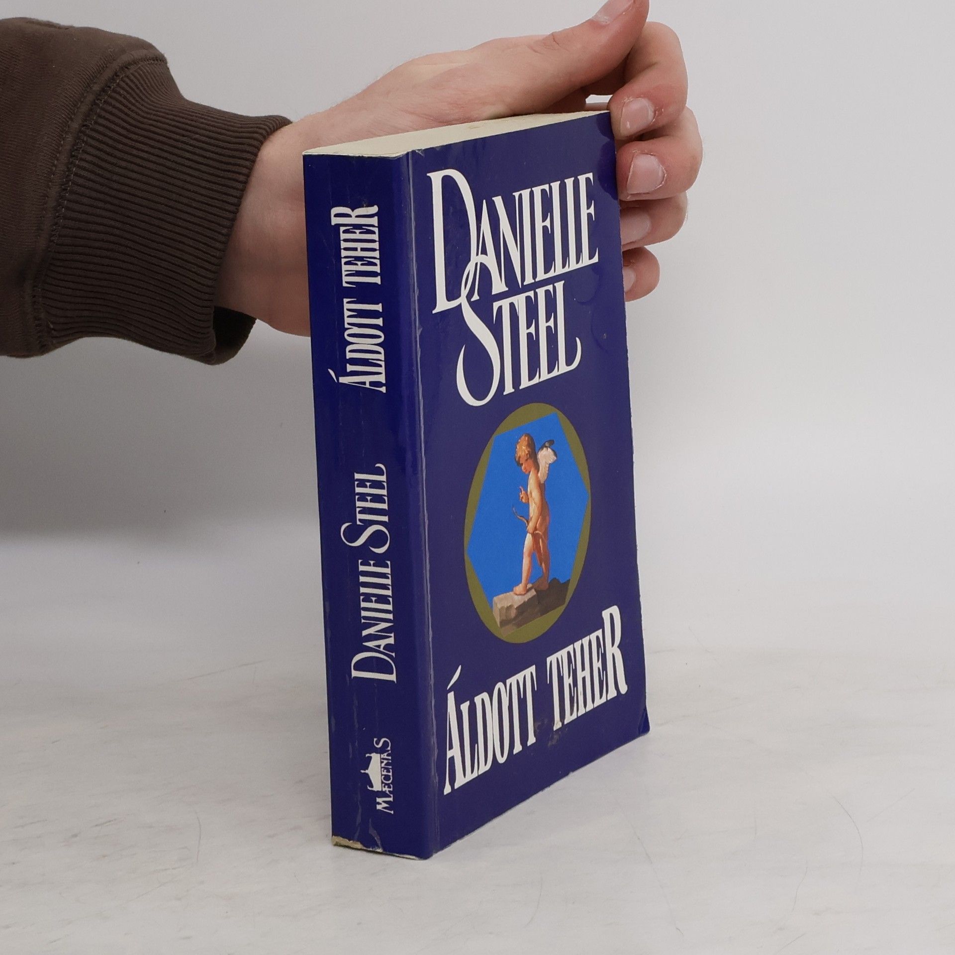 Danielle Steel Áldott Teher