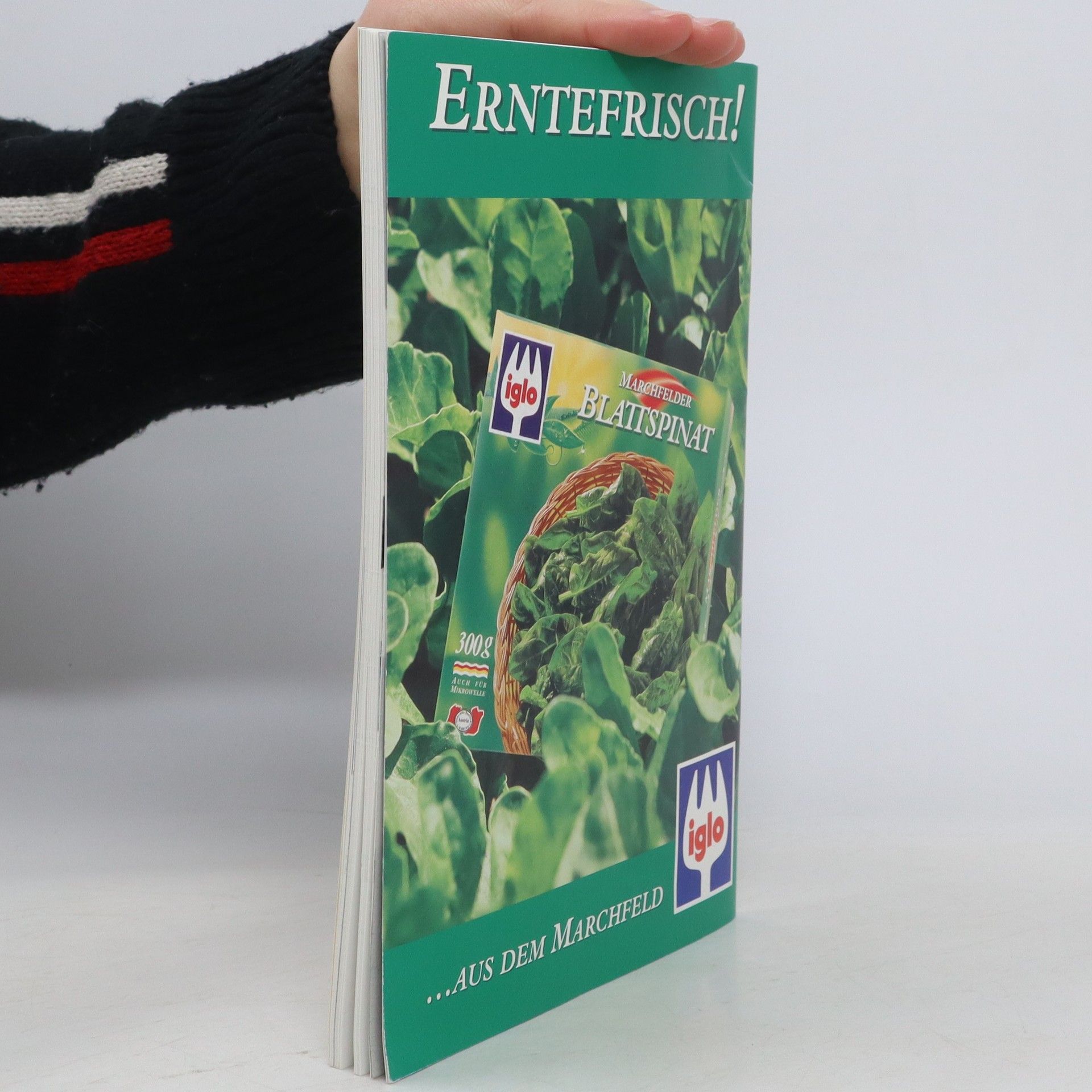 Autorenkollektiv Habsburgs Kinder