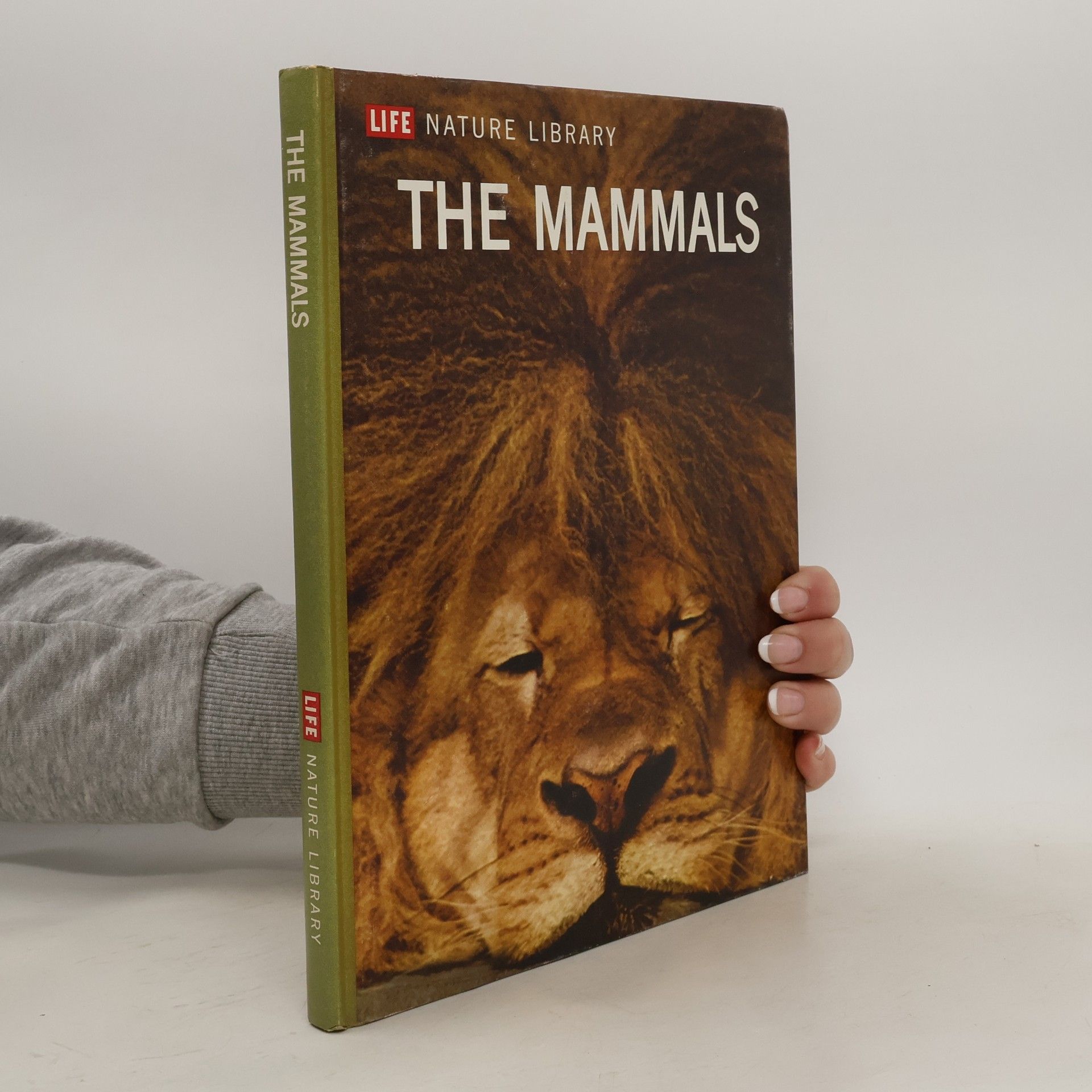 kolektiv The Mammals