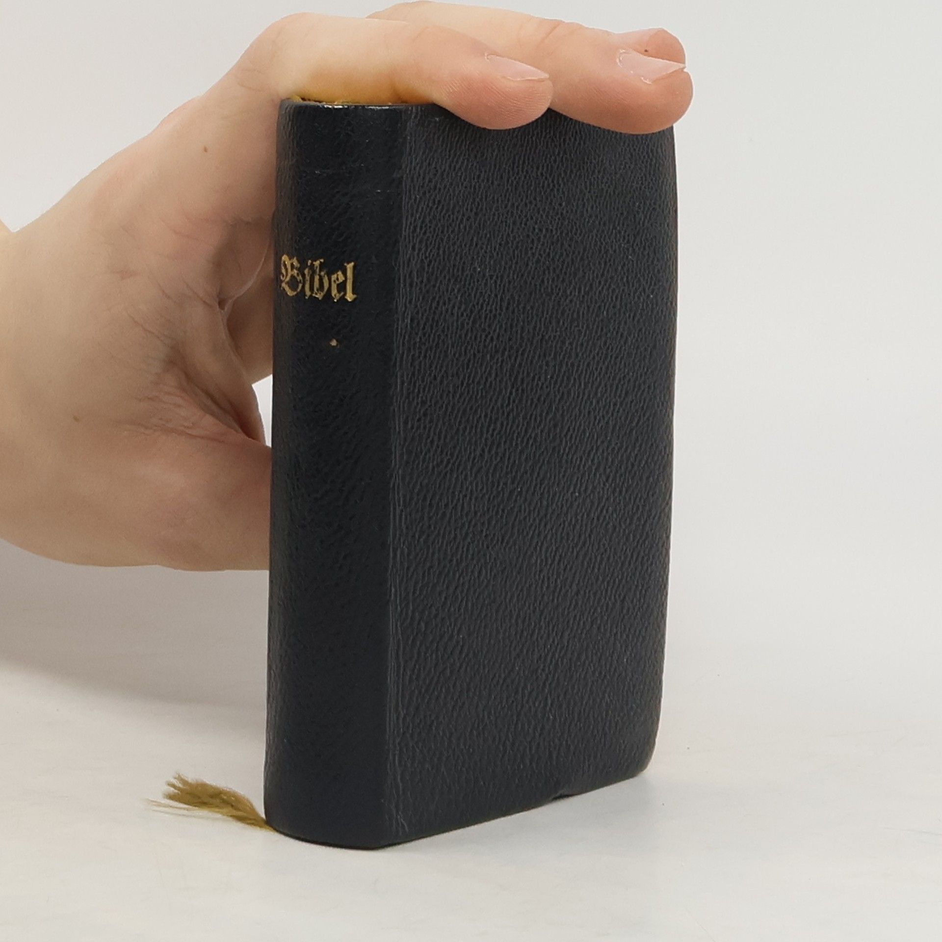 Autorenkollektiv Die Bibel