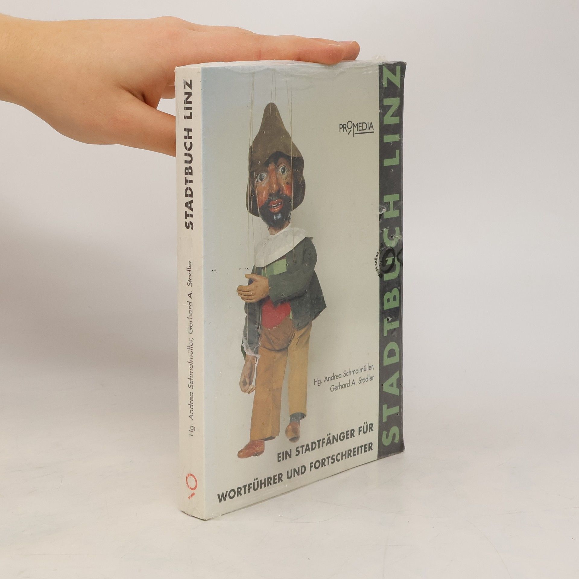 Andrea Schmolmüller Stadtbuch Linz