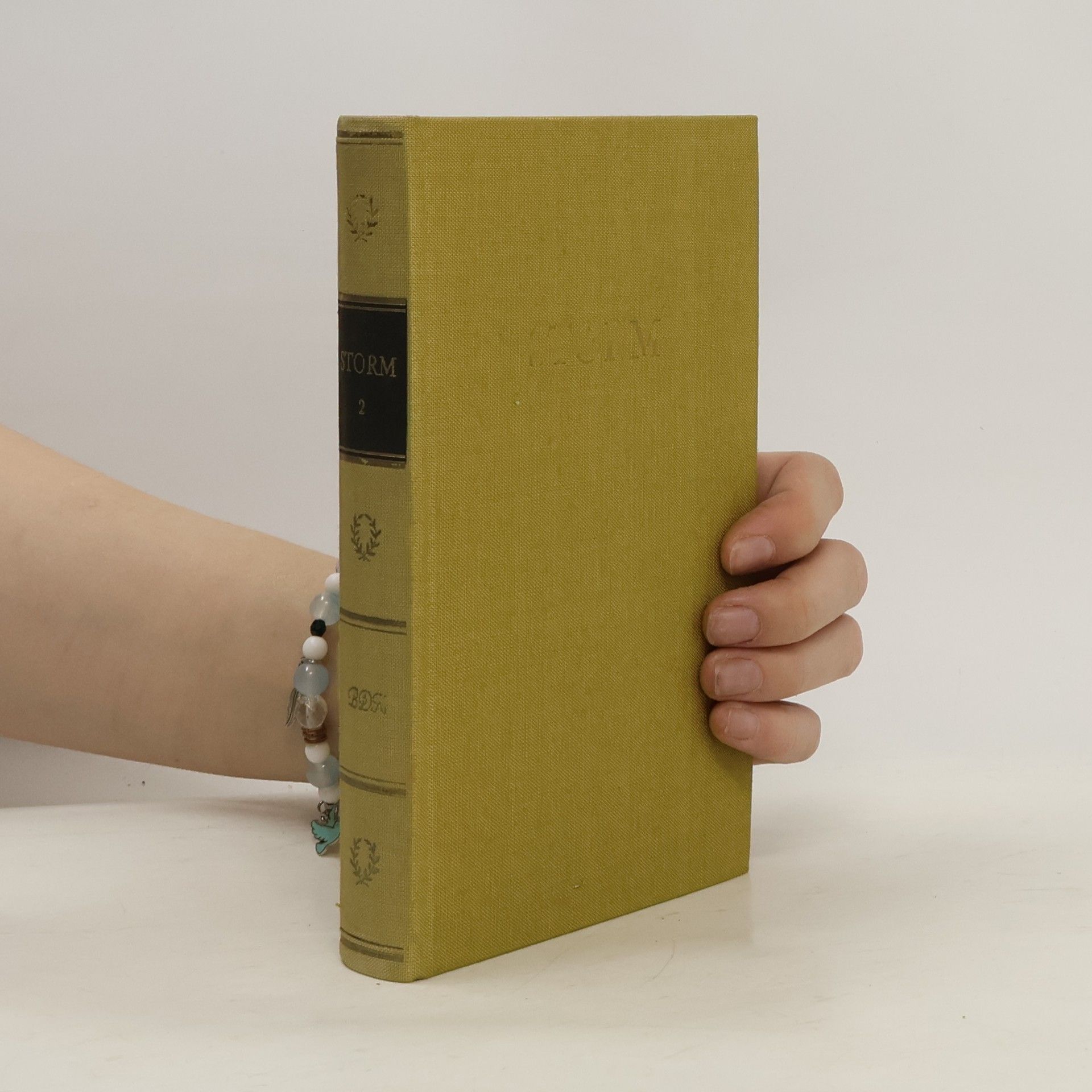 Storm Werke Storms Werke in zwei bänden. 2