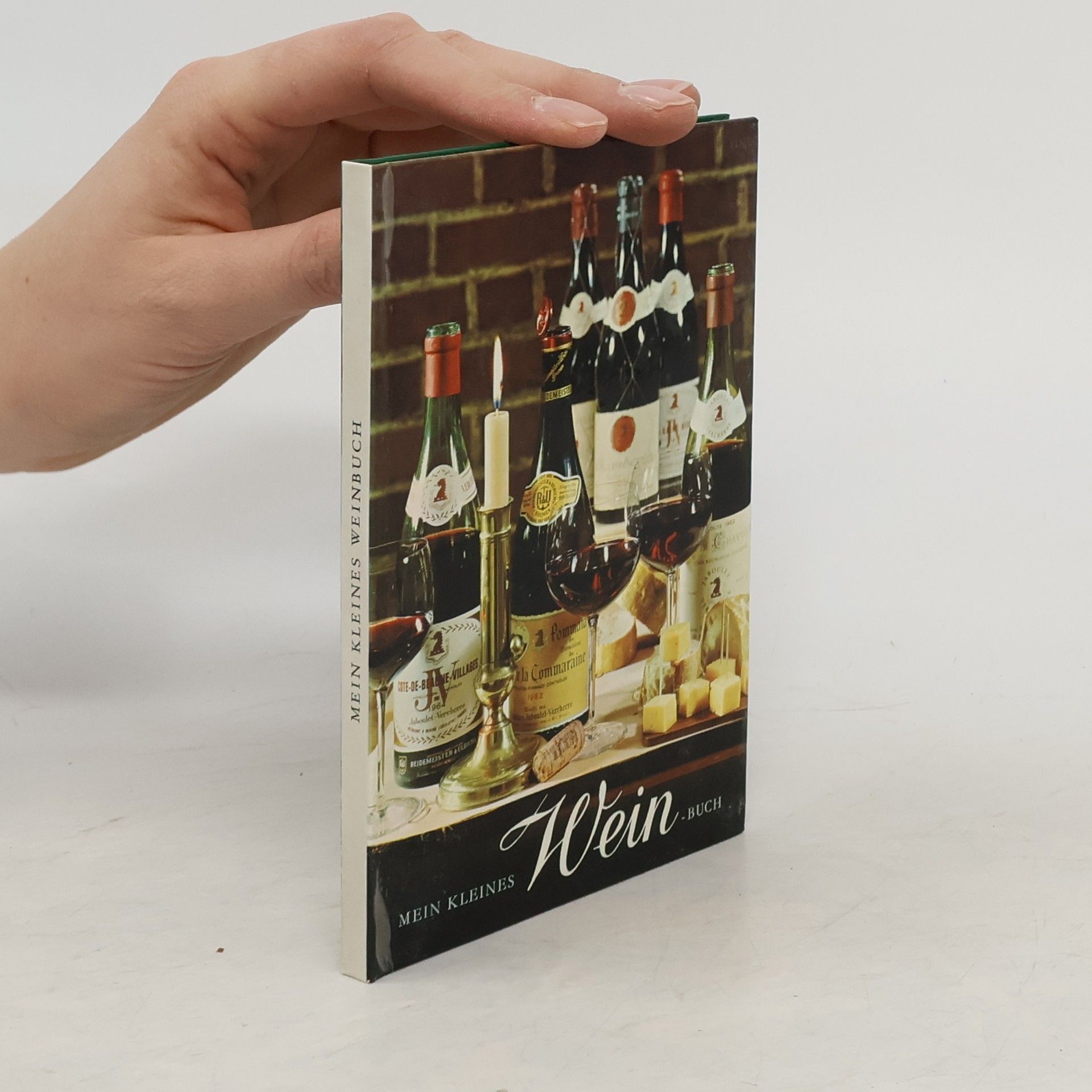 kolektiv Mein kleines Weinbuch