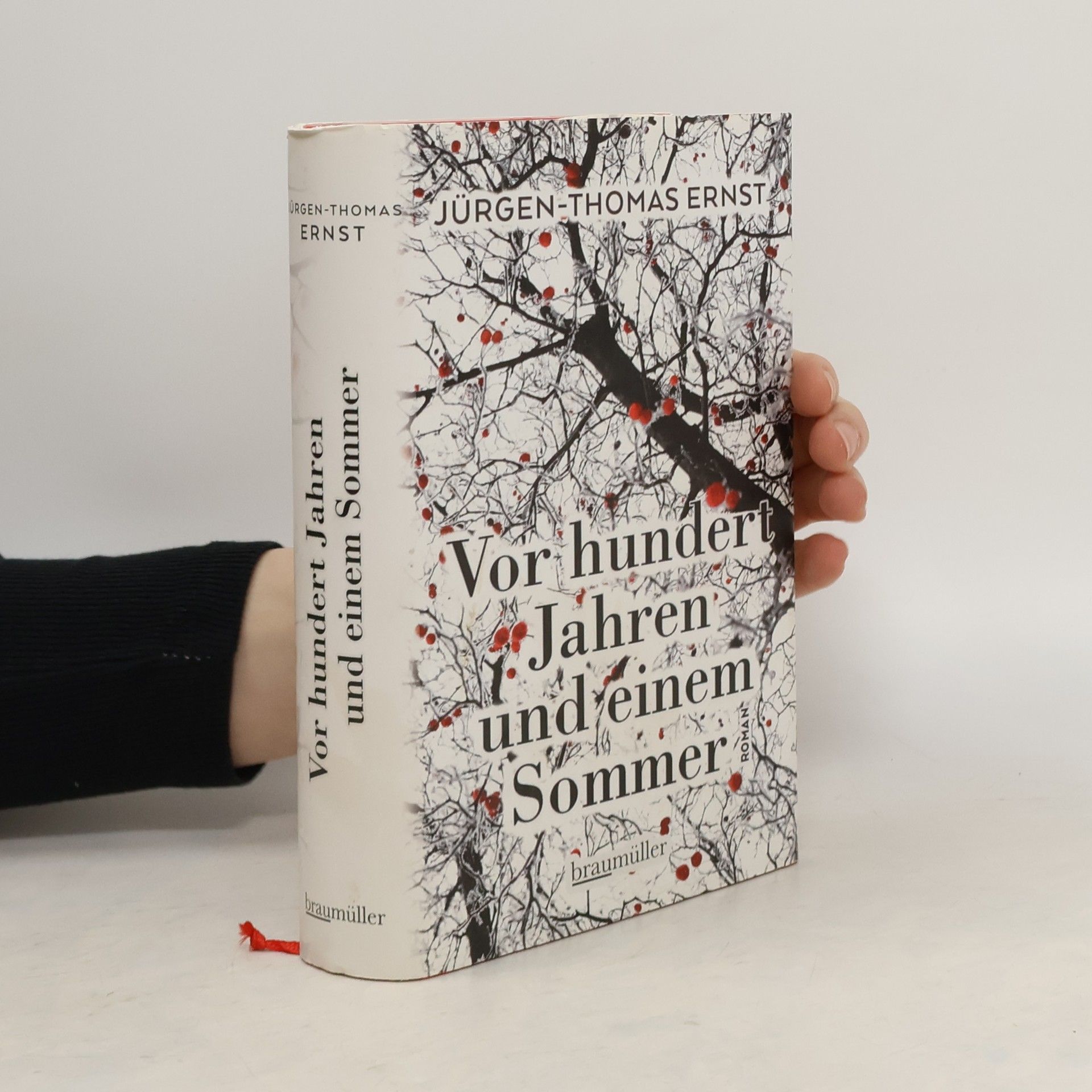 Jürgen-Thomas Ernst Vor hundert Jahren und einem Sommer