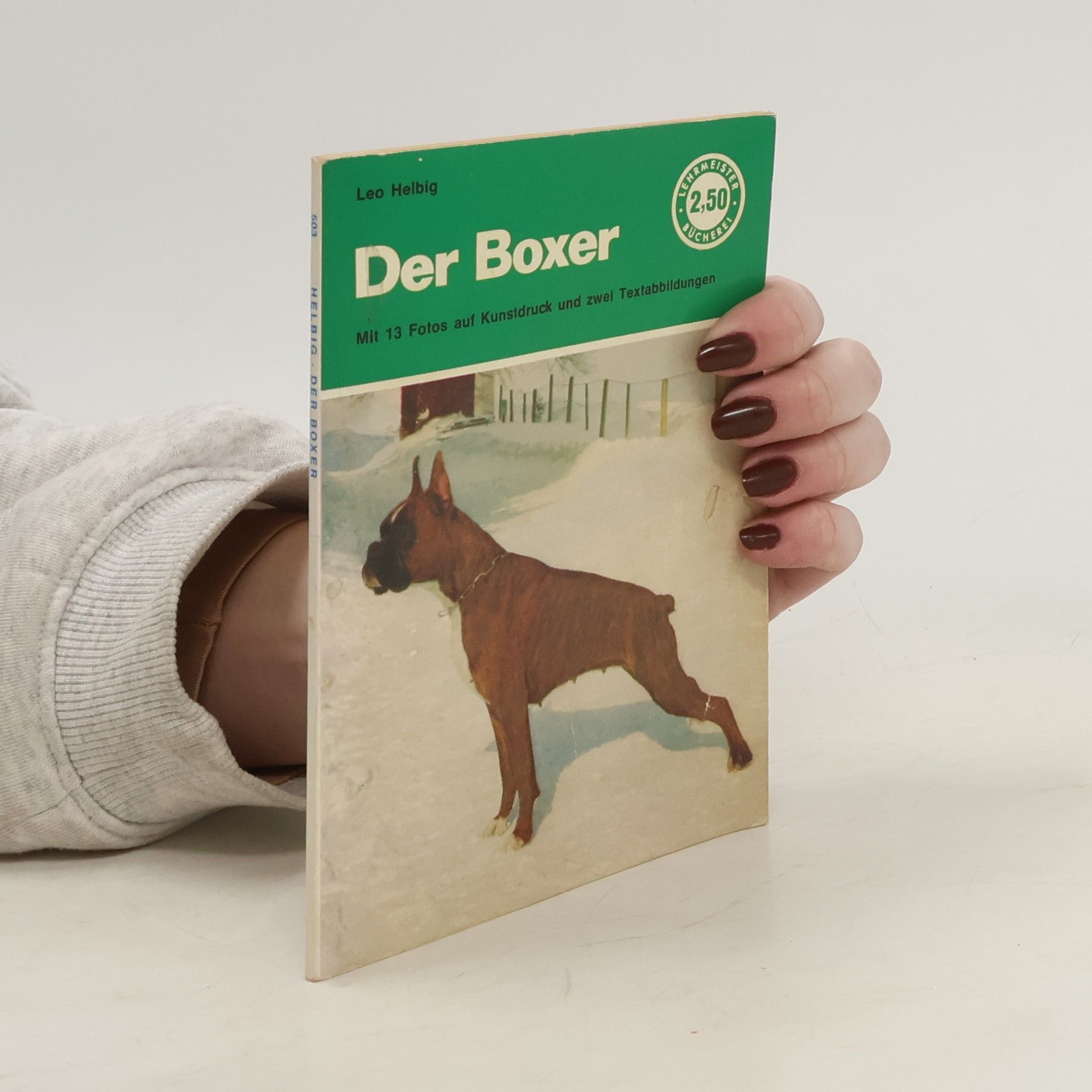 Leo Helbig Der Boxer