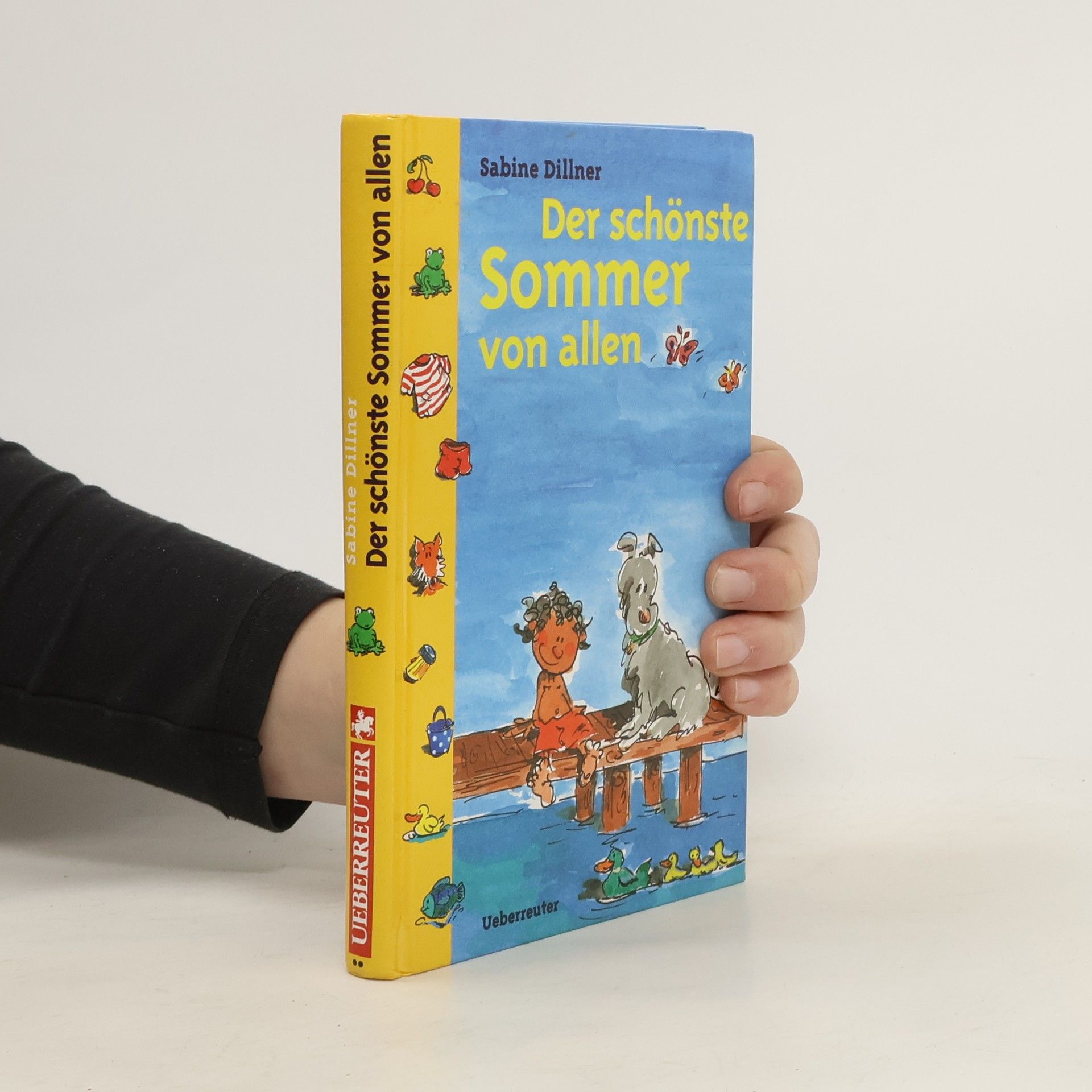 Sabine Dillner Der schönste Sommer von allen